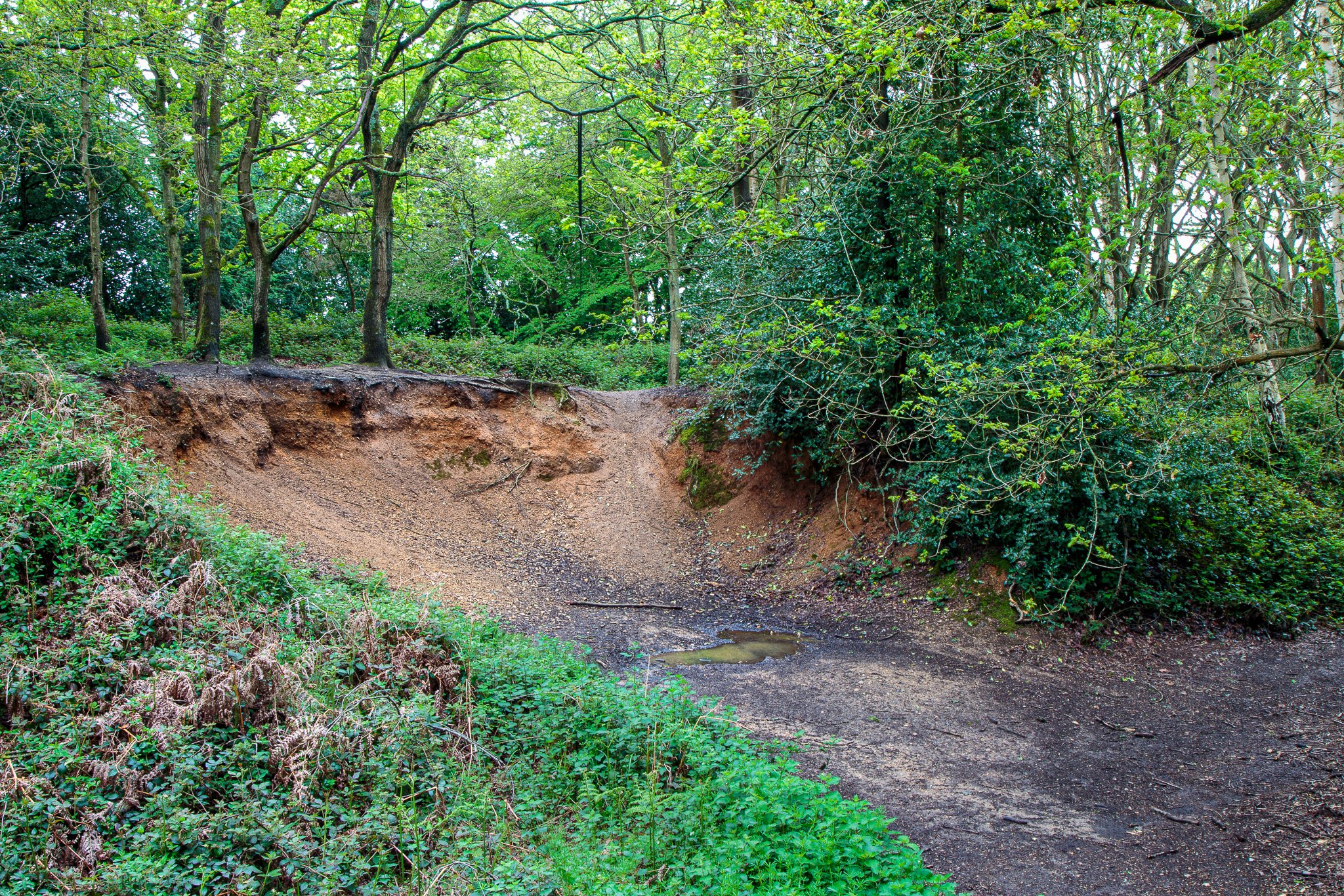 Danbury Gravel Pit #3