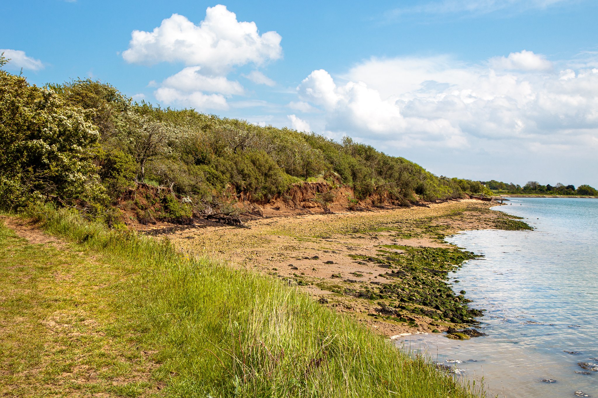 Althorne Cliffs #3