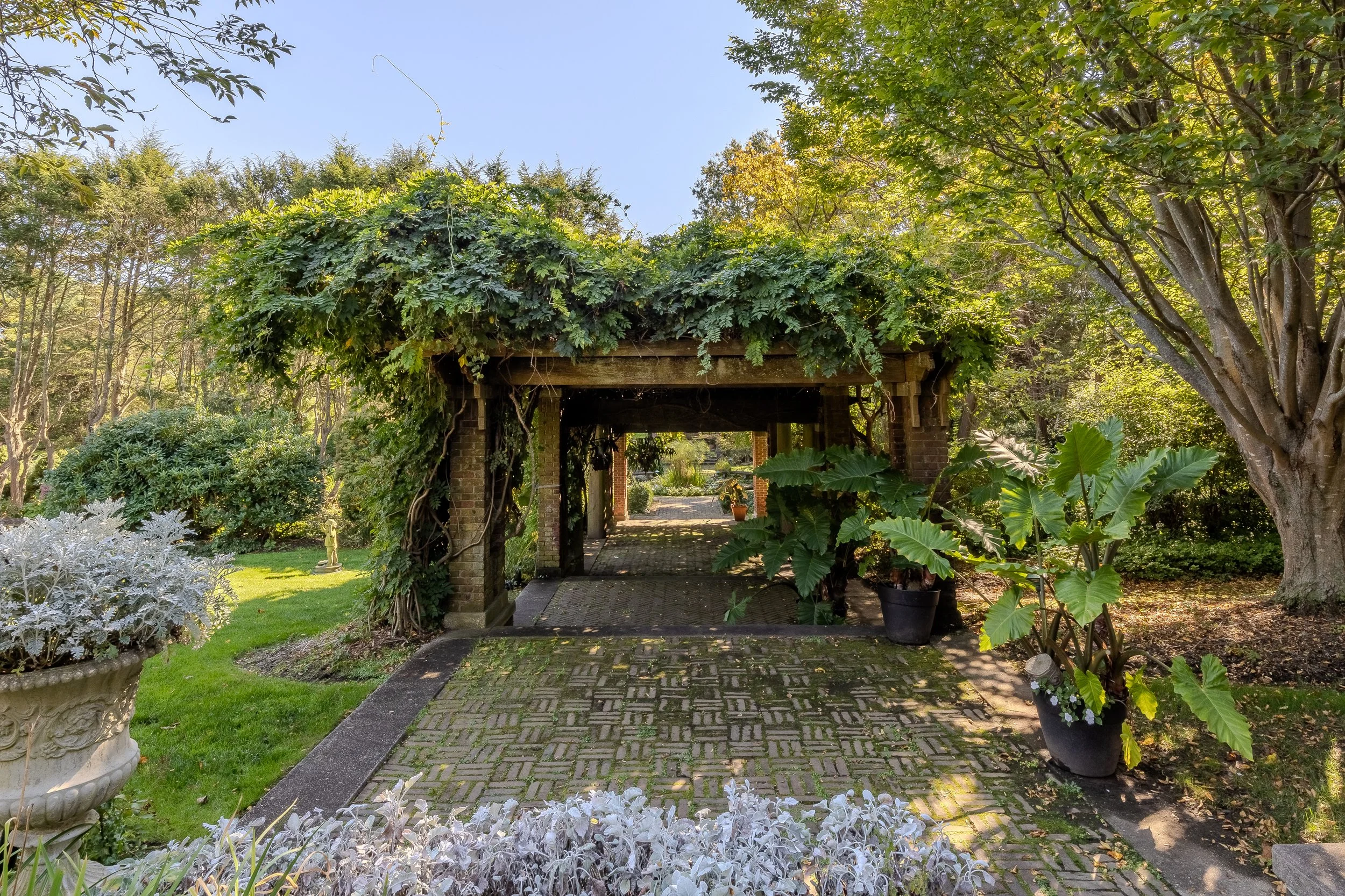 DA2A5552-HDR.jpg
