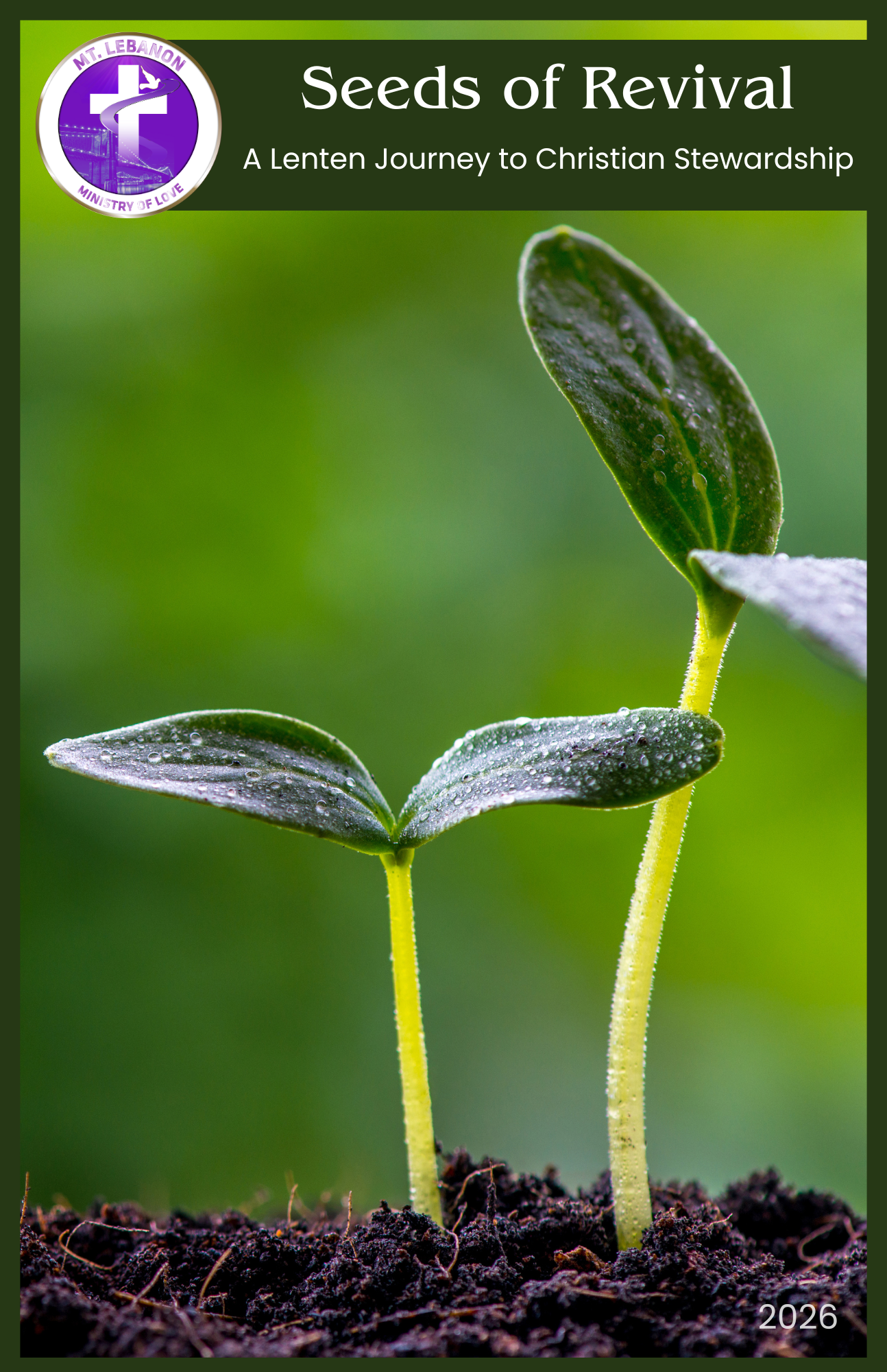 2026 Fasting Guide and Journal