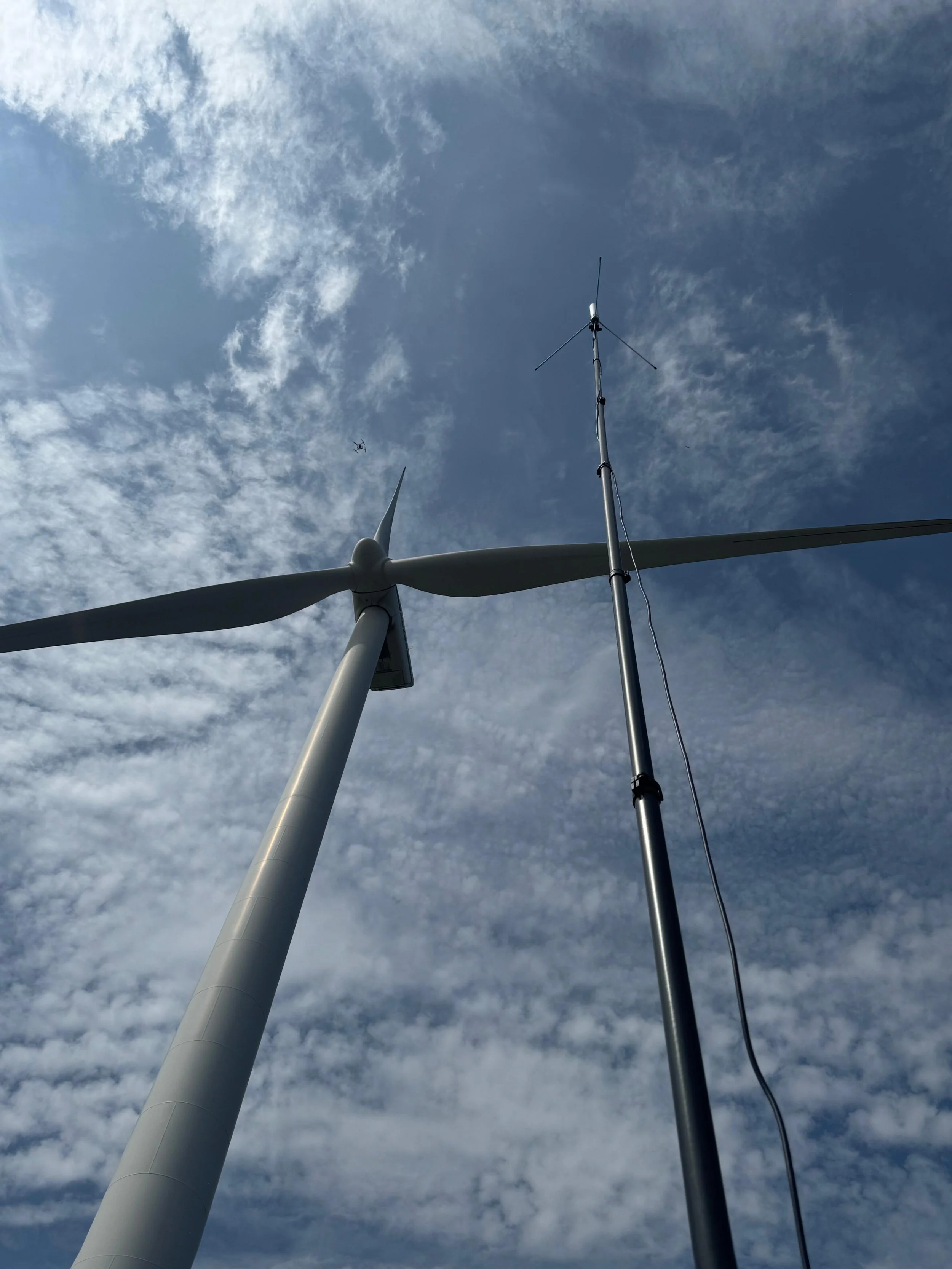 WhatsApp Image 2026-02-19 at 14.58.50.jpeg