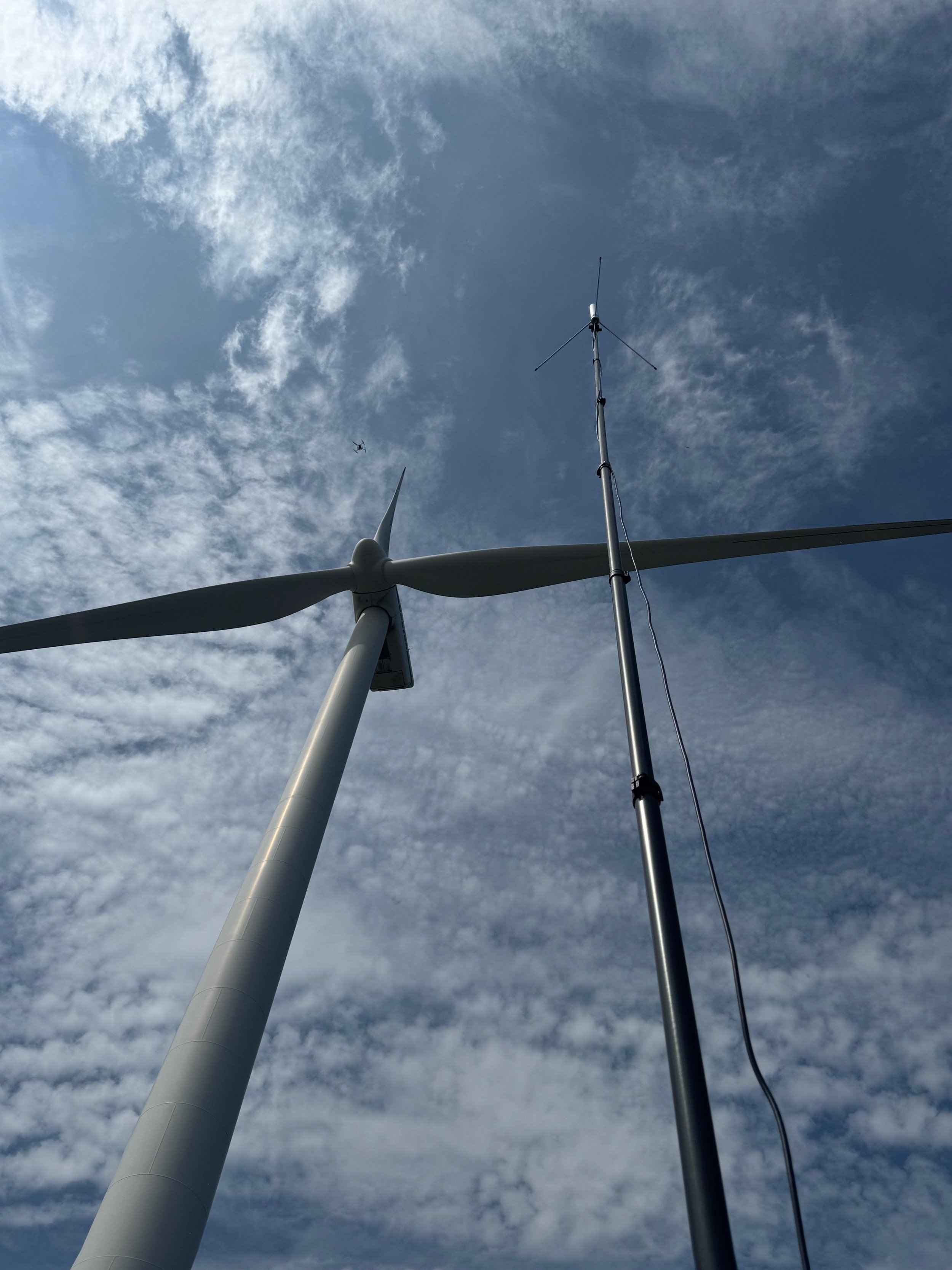 WhatsApp Image 2026-02-19 at 14.58.50.jpeg