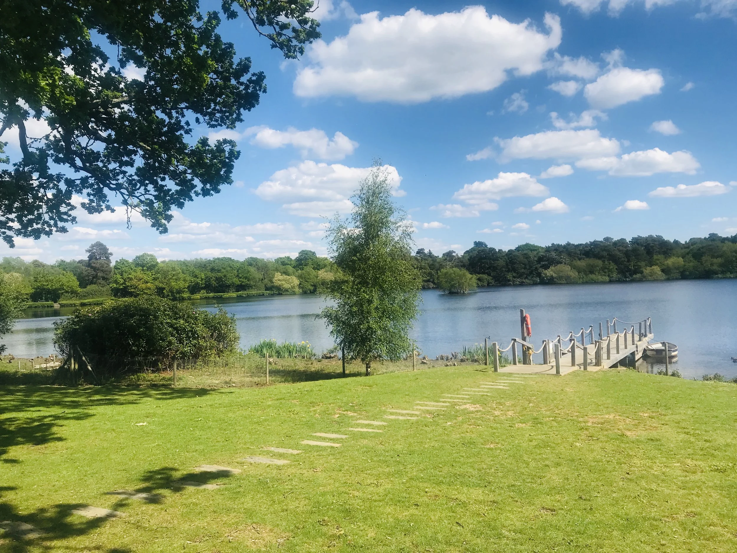 Vitamin D and IBS, what is the link?