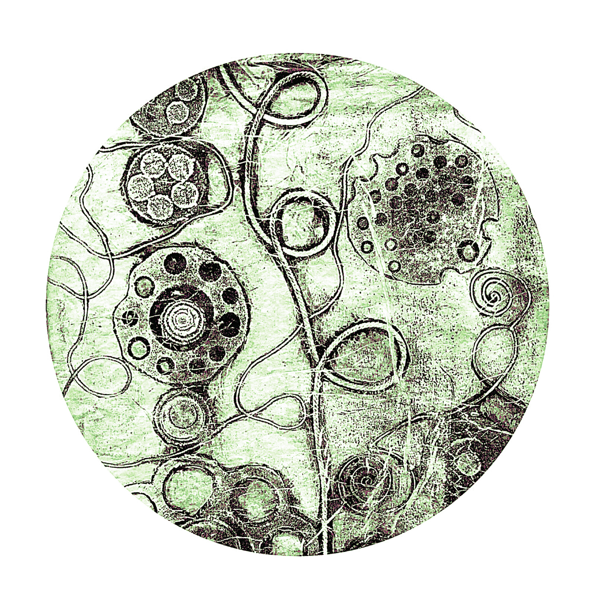 Copy of photo-output (2).PNG