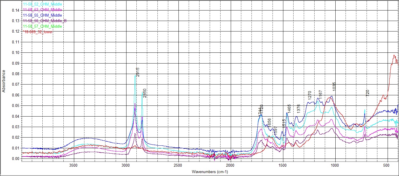 Fourier-Transform Infrared Spectroscopy (FTIR)