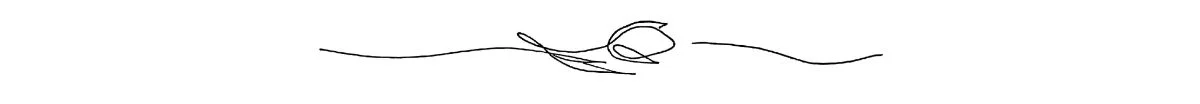 Tulip Divider.jpg