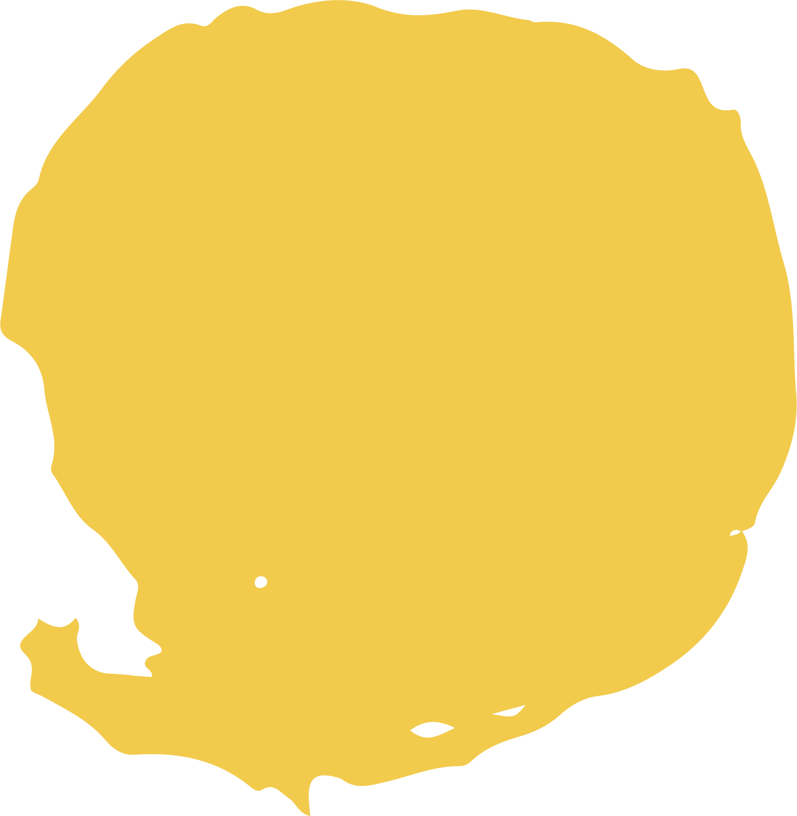 macchia gialla.png