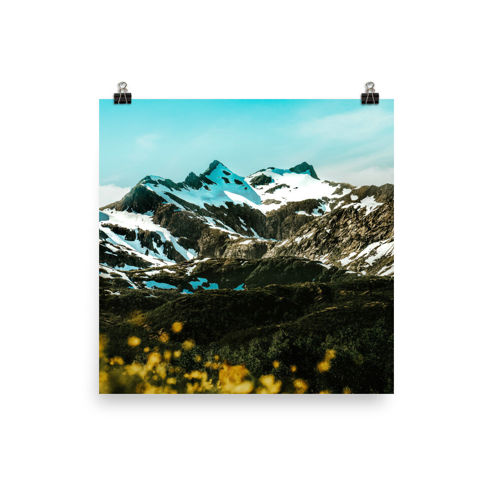 enhanced-matte-paper-poster-(in)-14x14-5fccdb27bfd07.jpg