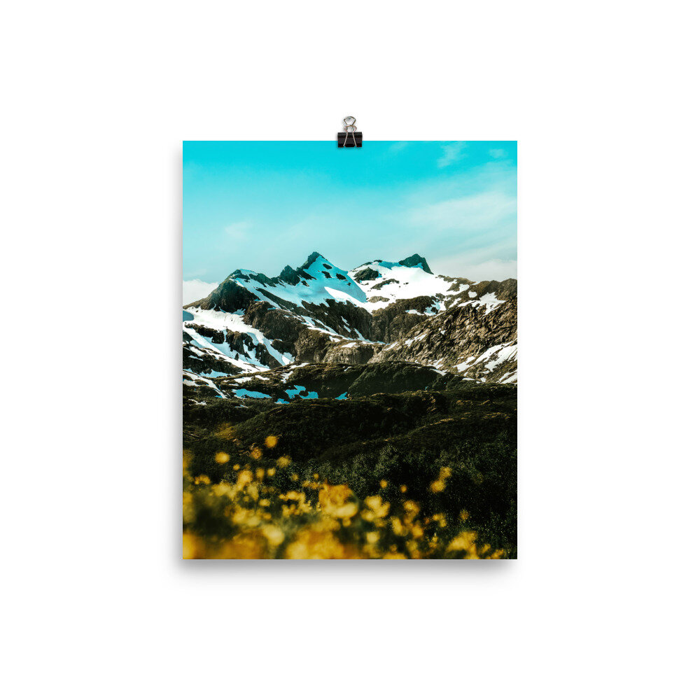 enhanced-matte-paper-poster-(in)-8x10-5fccdb27bfe7b.jpg