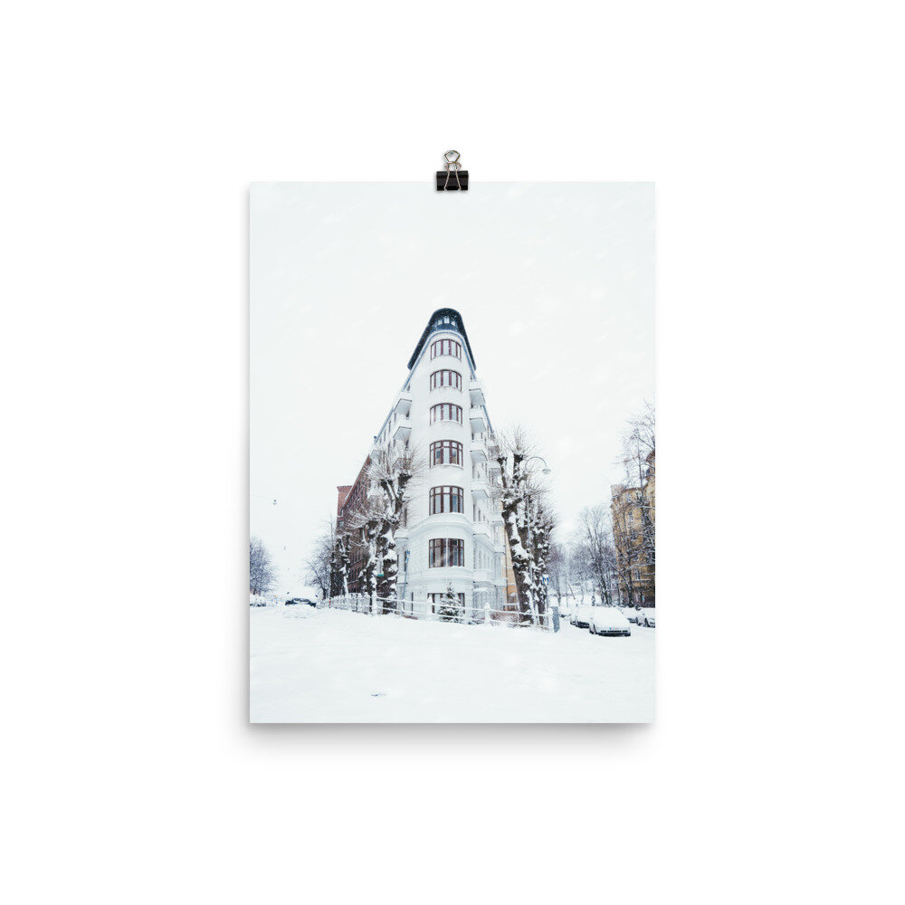 enhanced-matte-paper-poster-(in)-12x16-5ff2f5595a6b3.jpg