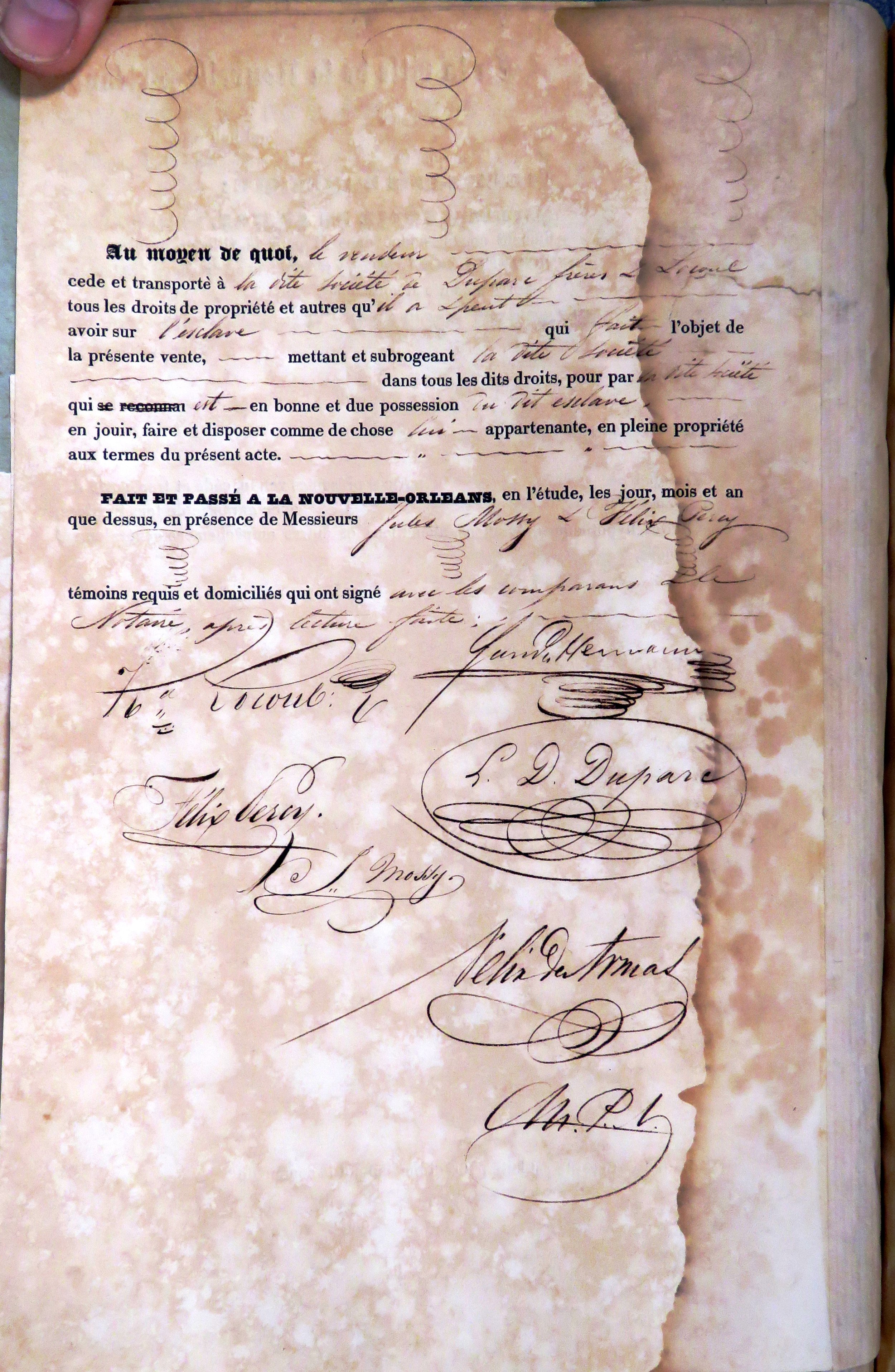 1829-11-06   de Armas, Felix. 1829 Nov 6th. Vol 25, Act 1101 (2 of 2).JPG