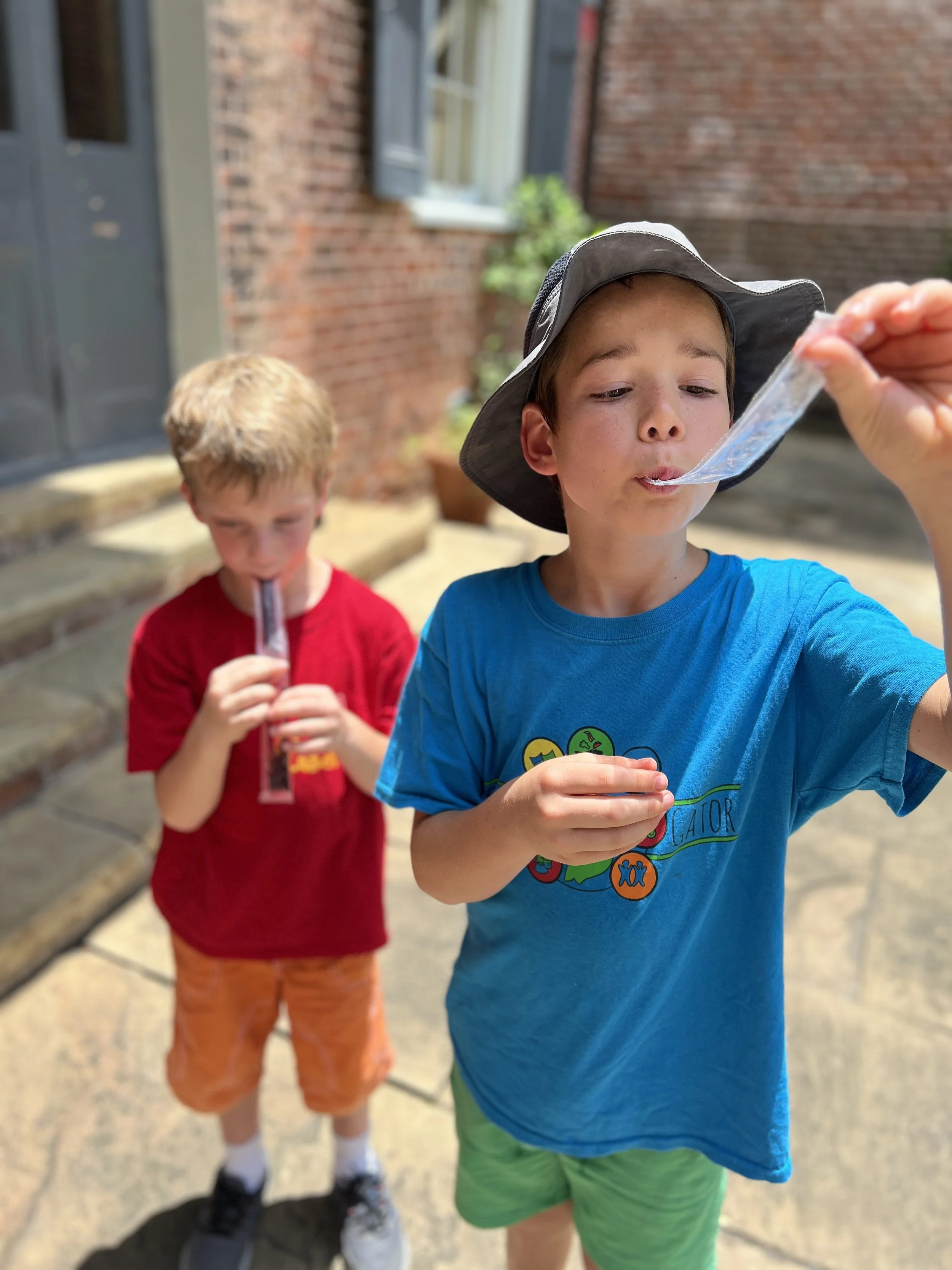 Photo Jul 29 2024, 12 36 51 PM.jpg