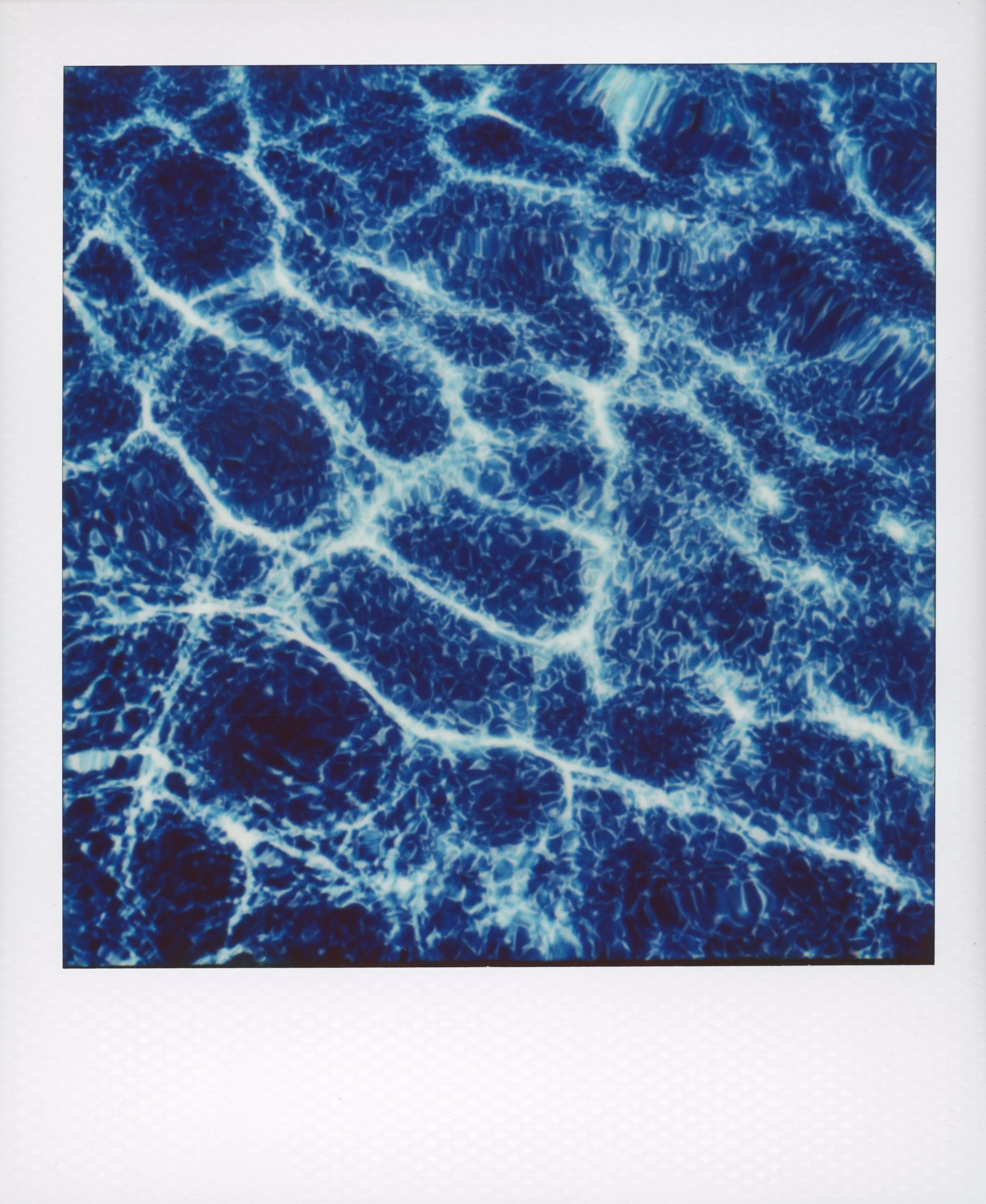 Polaroid-32.jpg