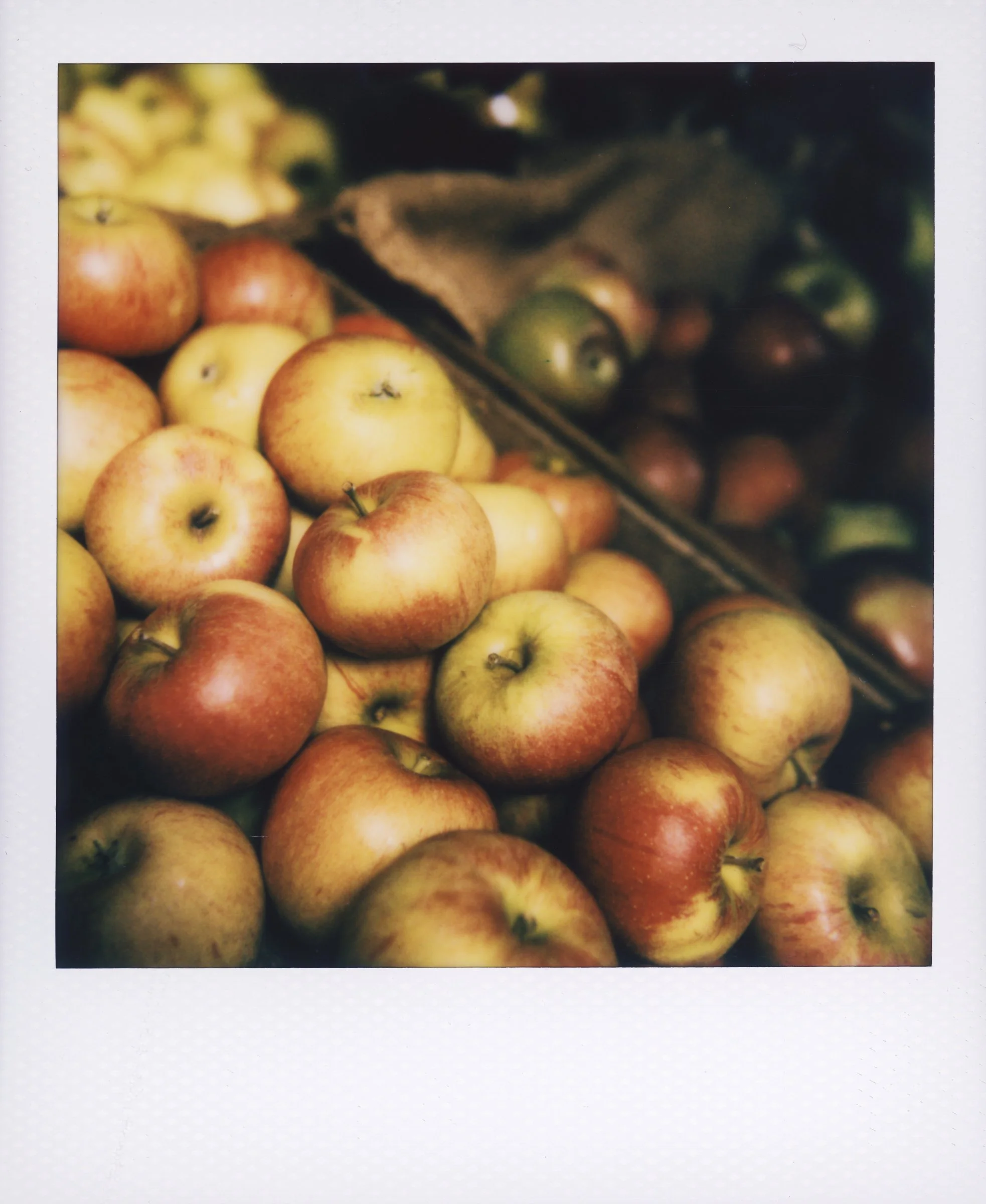 Polaroid-153.jpg