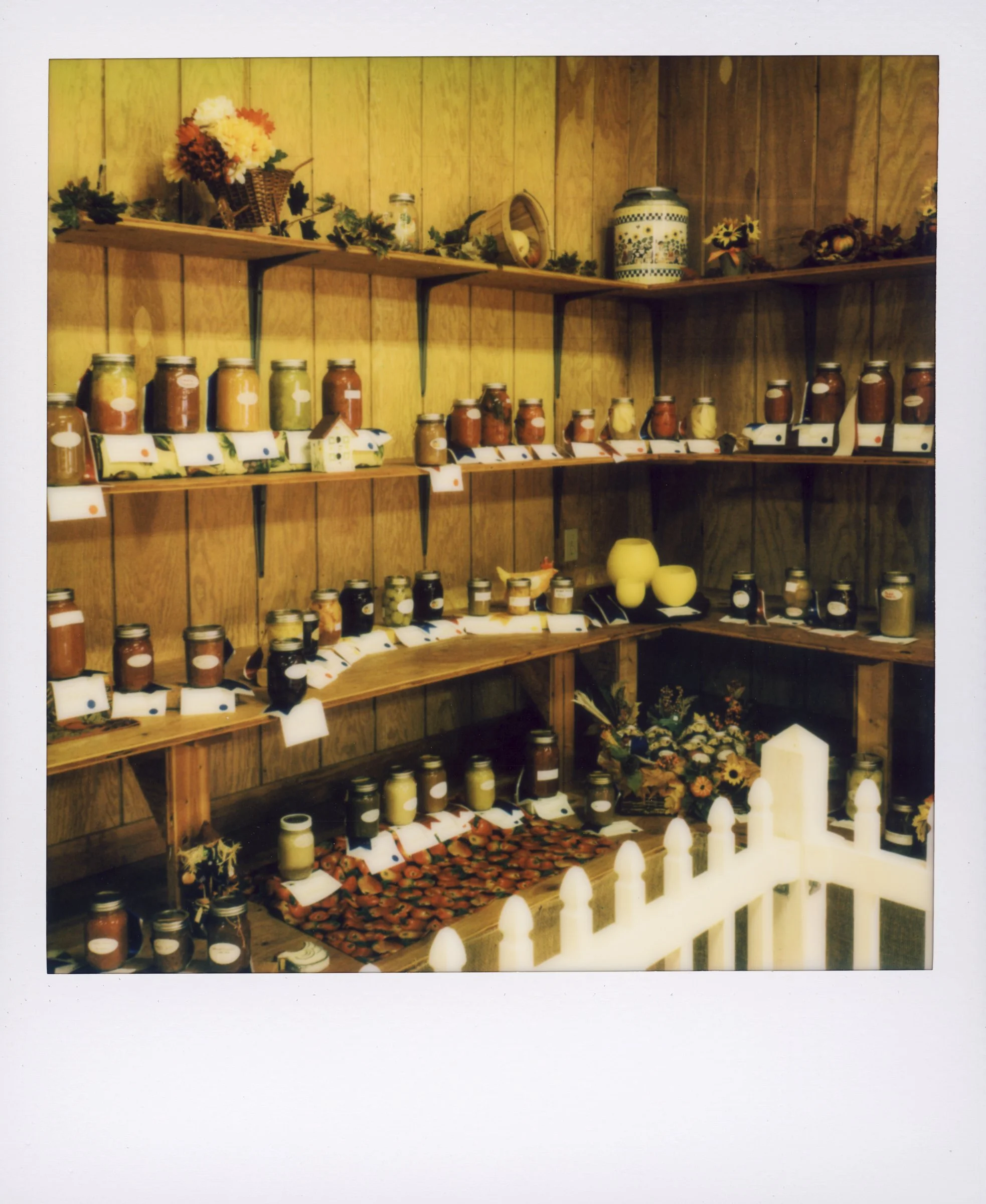 Polaroid-152.jpg