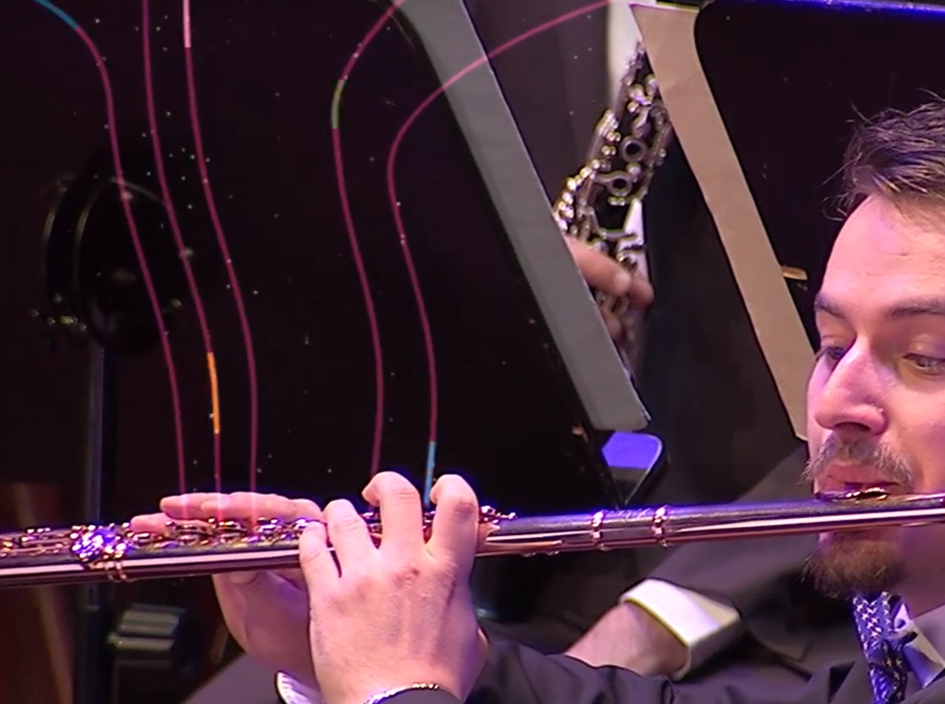 Het symfonieorkest - Concertgebouw