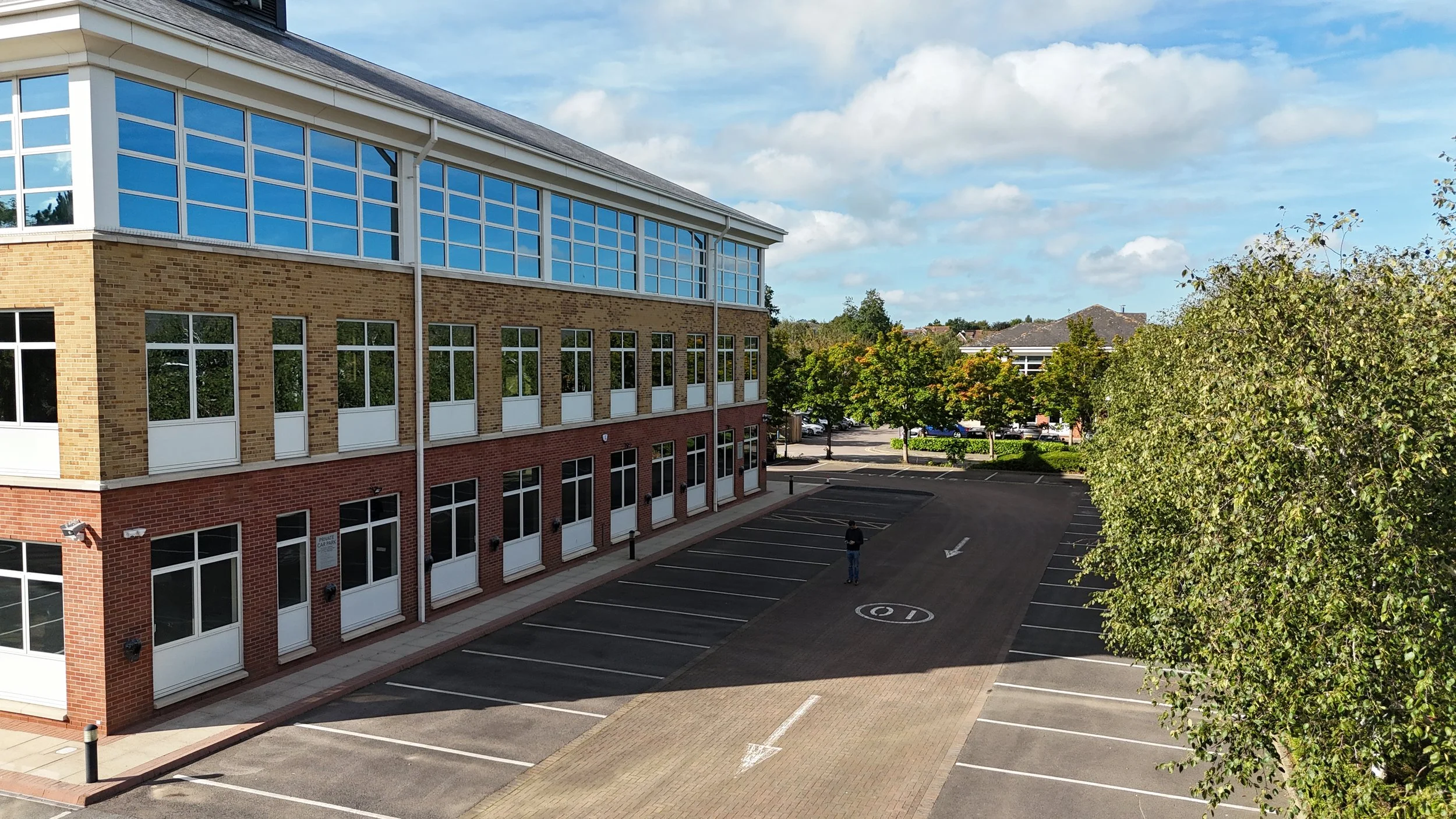 D green and leafy.JPG