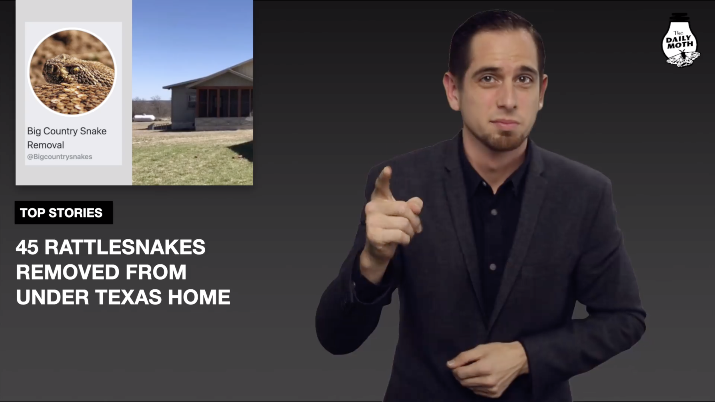 45 Rattlesnakes Removed From Under Texas Home