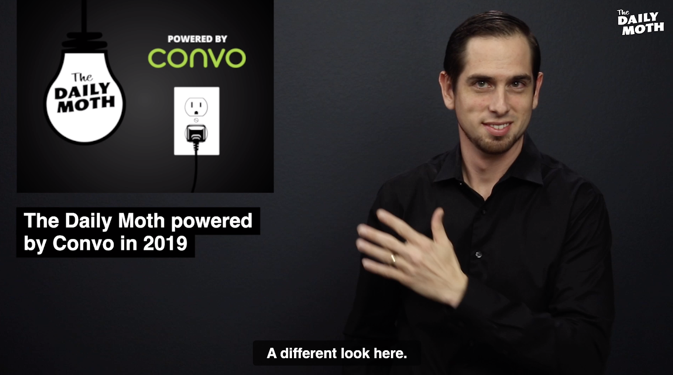 The Daily Moth powered by Convo in 2019