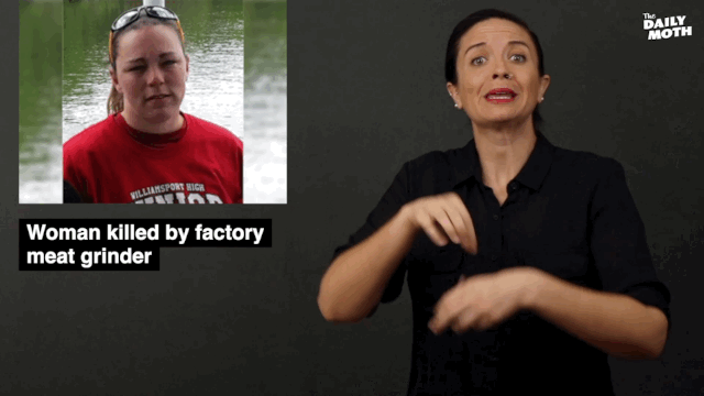 The Daily Moth 4-25-19 (Full Story) 