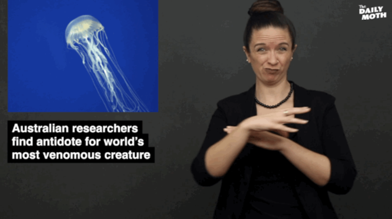 The Daily Moth 5-2-2019 (Full Story) 