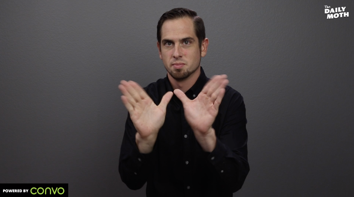 The Daily Moth 9-27-19