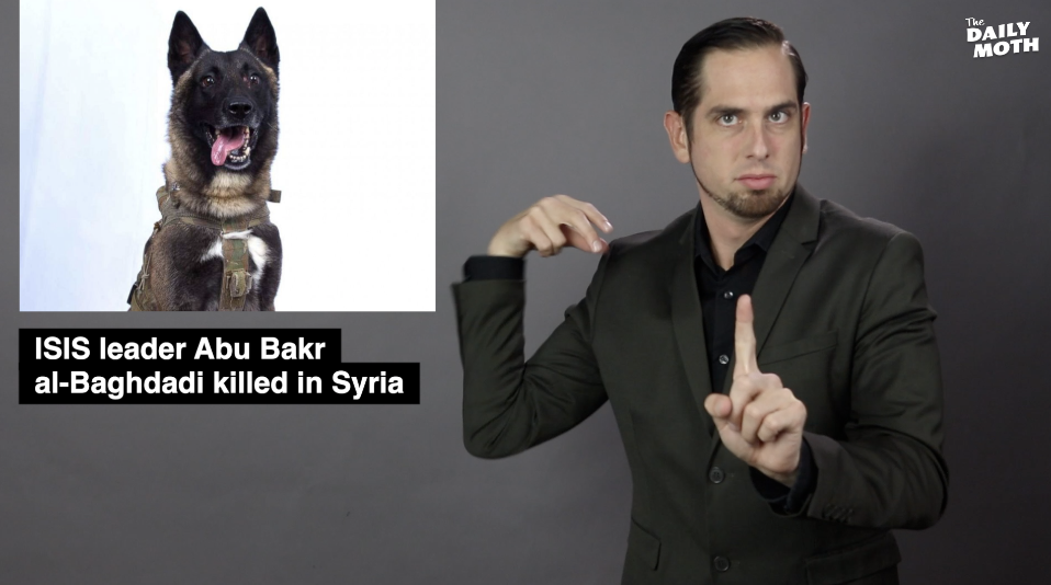 The Daily Moth 10-28-19