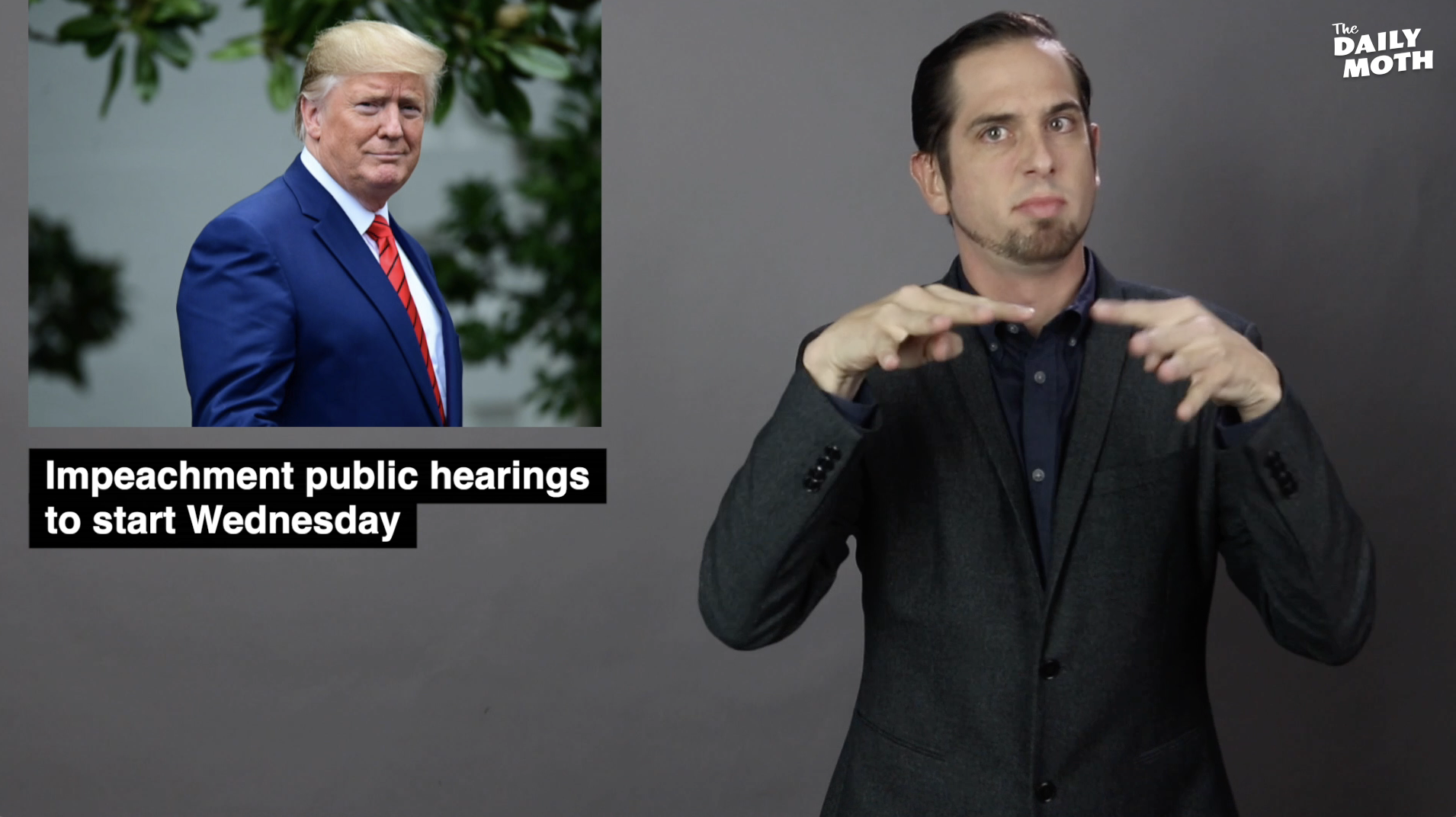 The Daily Moth 11-11-19