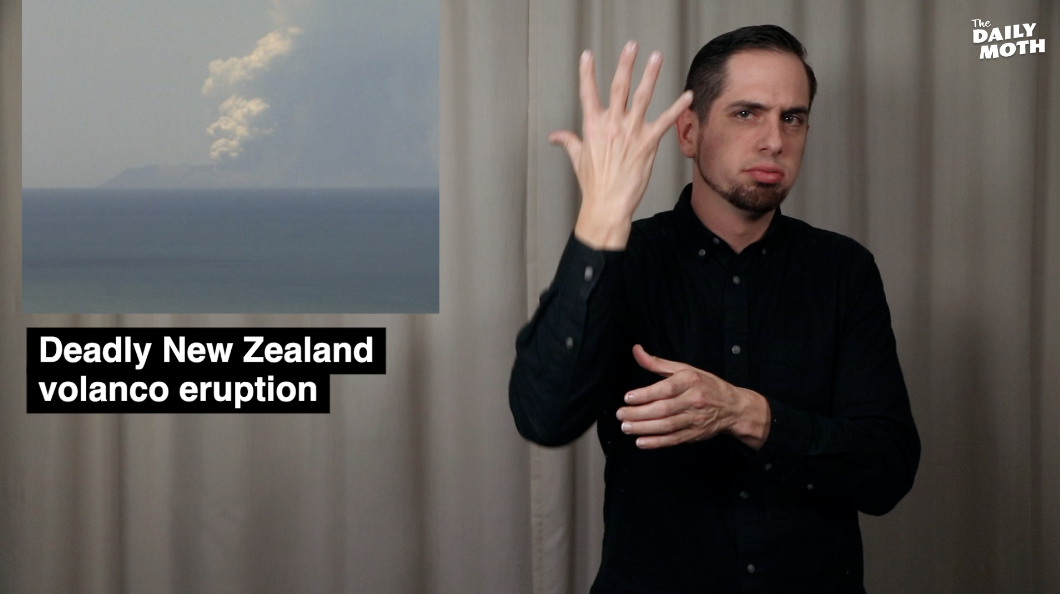 The Daily Moth 12-9-19