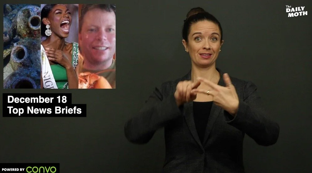 The Daily Moth 12-17-19