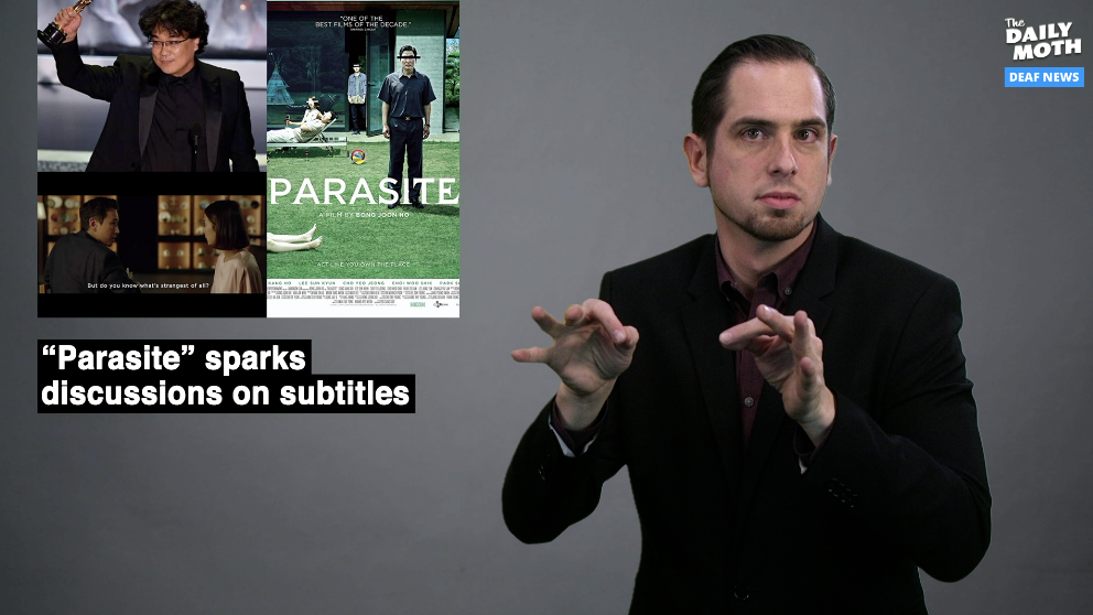 The Daily Moth 2-11-2020