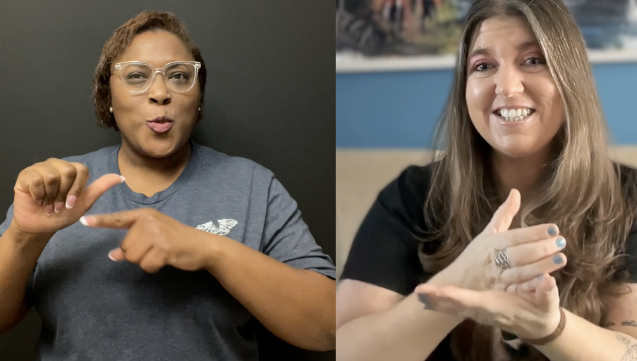 Online dog training courses in ASL