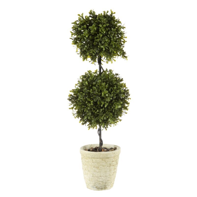 Spring+Double+Ball+Boxwood+Topiary+in+Planter.jpg