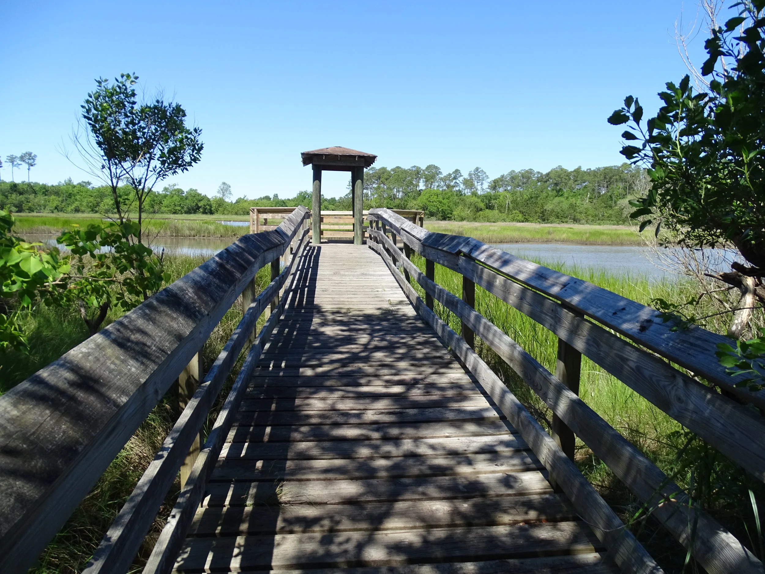  Pirates Alley Nature Trail ends with a pier that extends into a marsh filled with birds and other wildlife.  