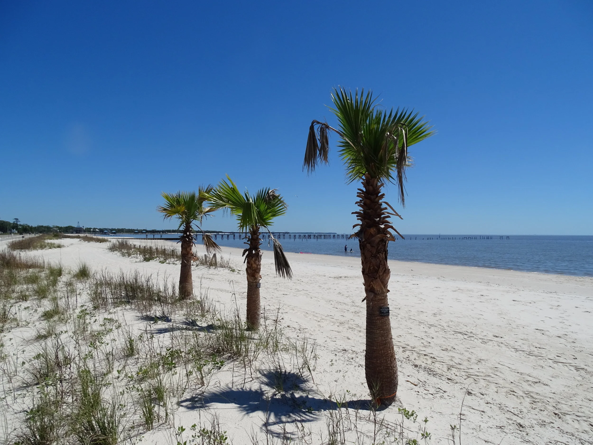  Waveland and its neighbors offer beautiful white sand beaches and many access points.     