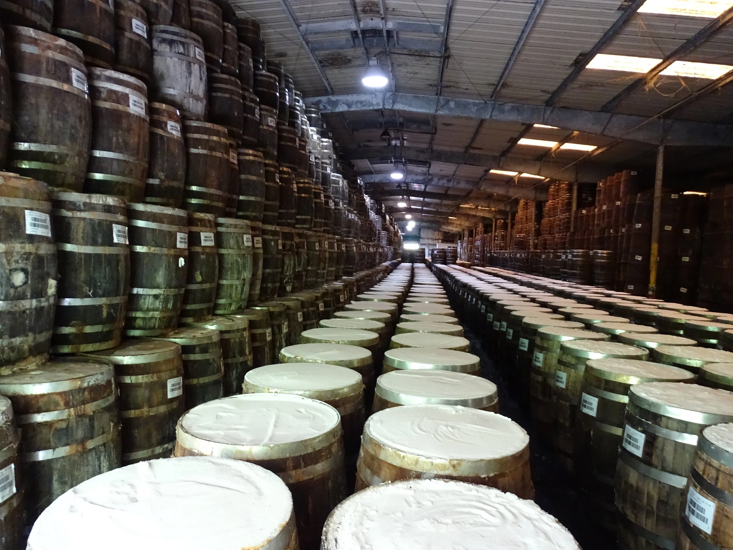  The mash warehouse gives visitors a peek at the Tabasco aging process that takes places in these barrels. 