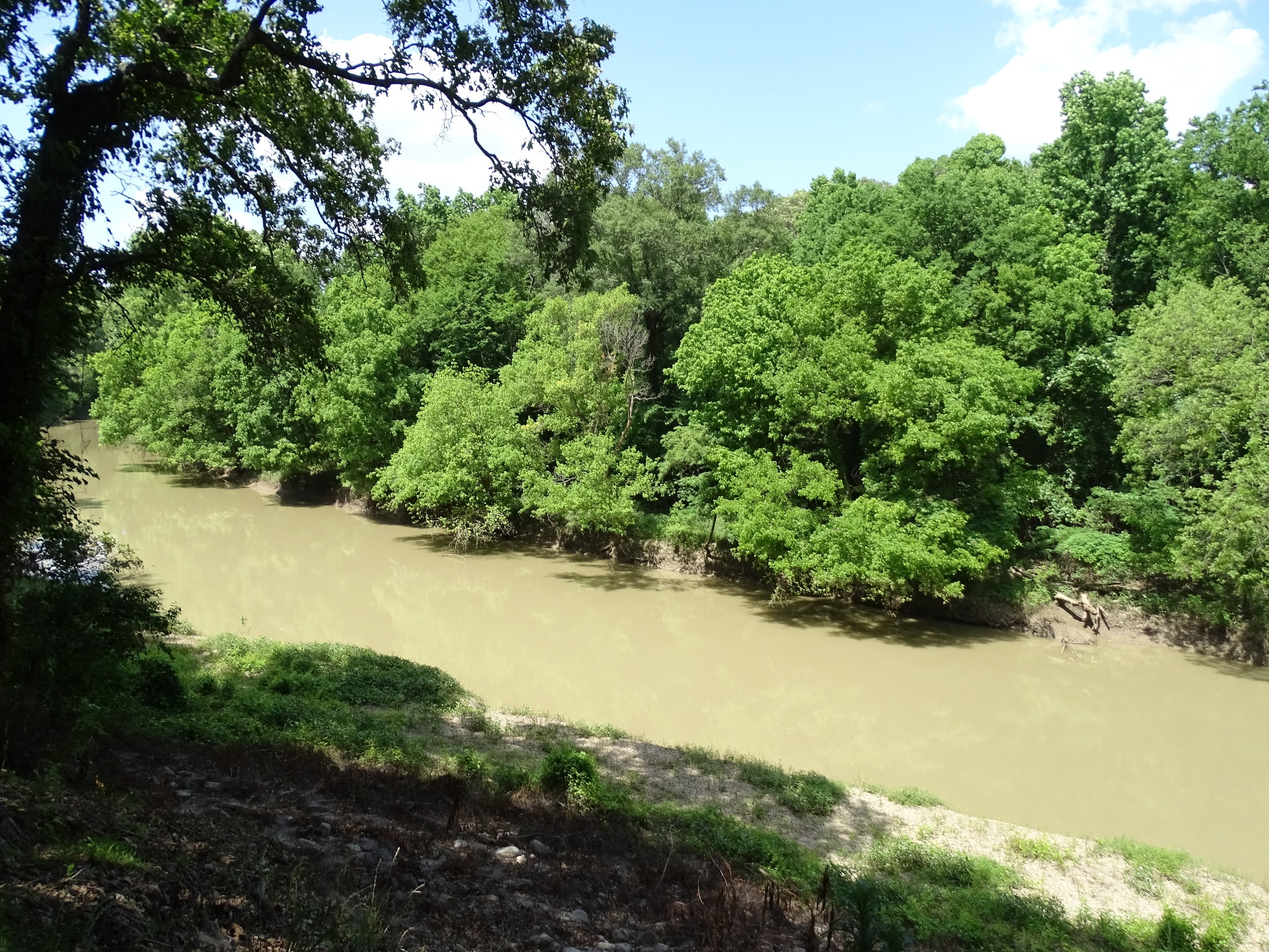 Bayou Macon (pronounced “may-sun”) runs through Poverty Point. The best view of it is from behind the museum.