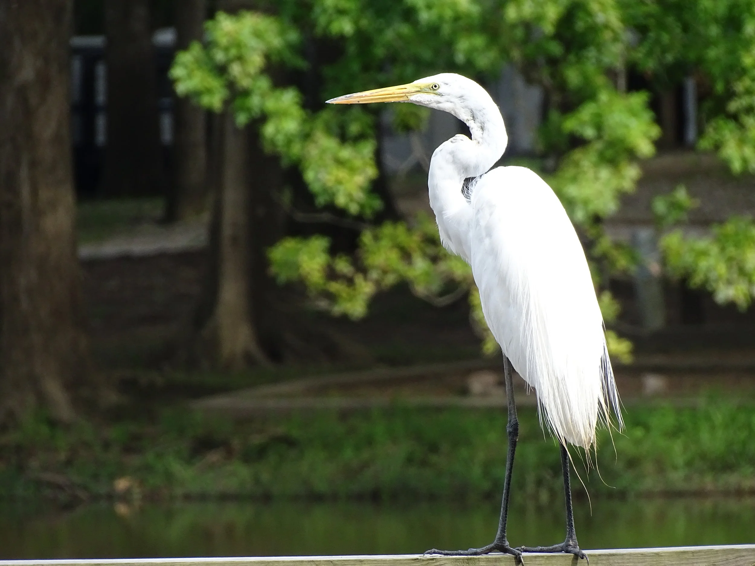 Mississippi: Make One-Stop to Learn about Nature and Walk Through It on the Same Day