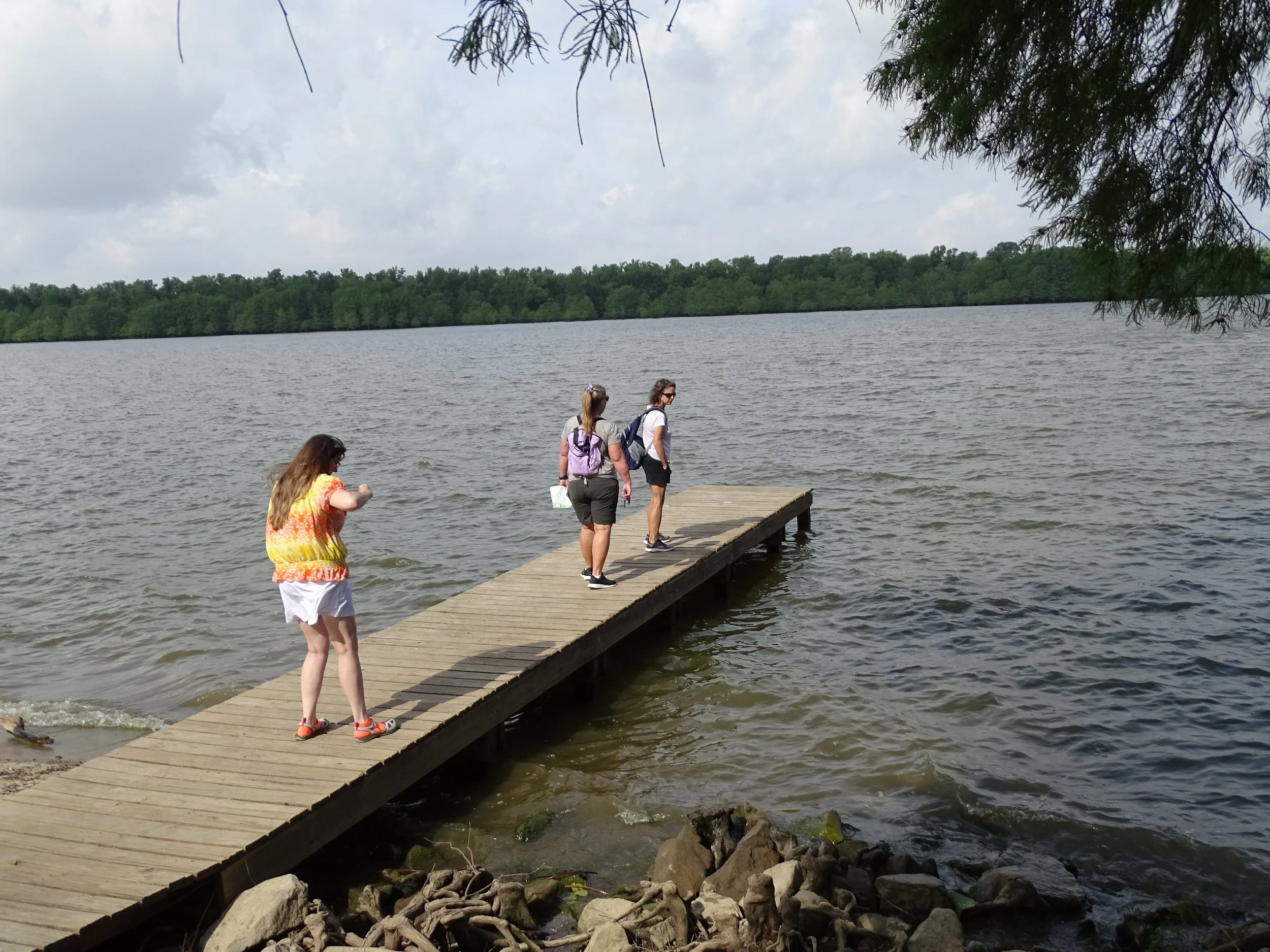 Arkansas: Visit Lake Chicot State Park to See the Largest Oxbow Lake in North America