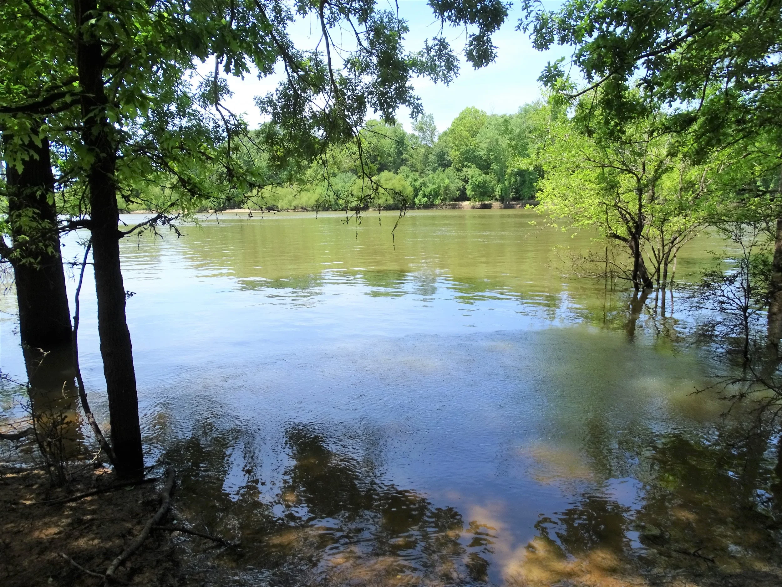 Arkansas: Doug Leaves a Mark on Moro Bay