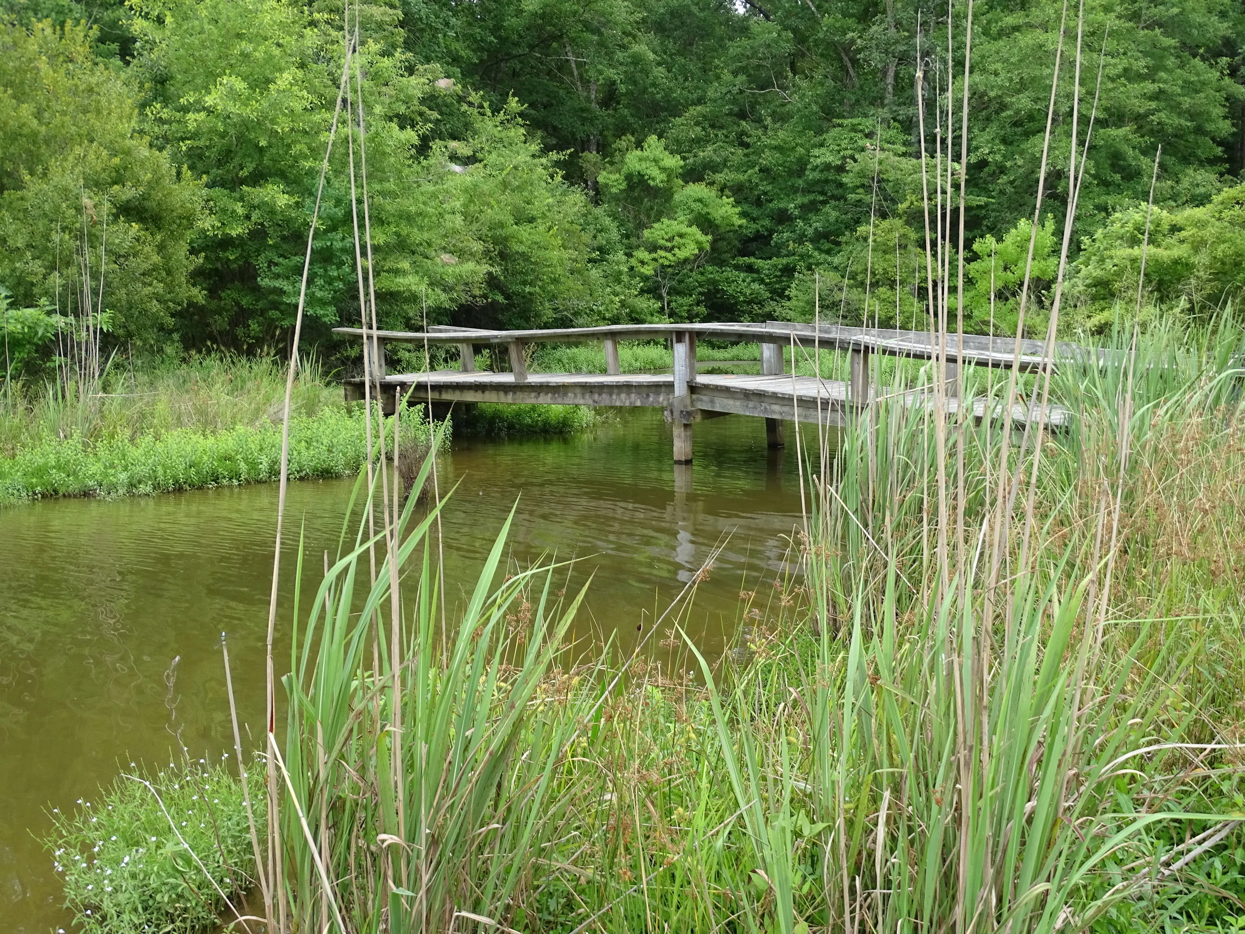 Mississippi: Percy Quin and Lake Lincoln State Parks Score High Marks