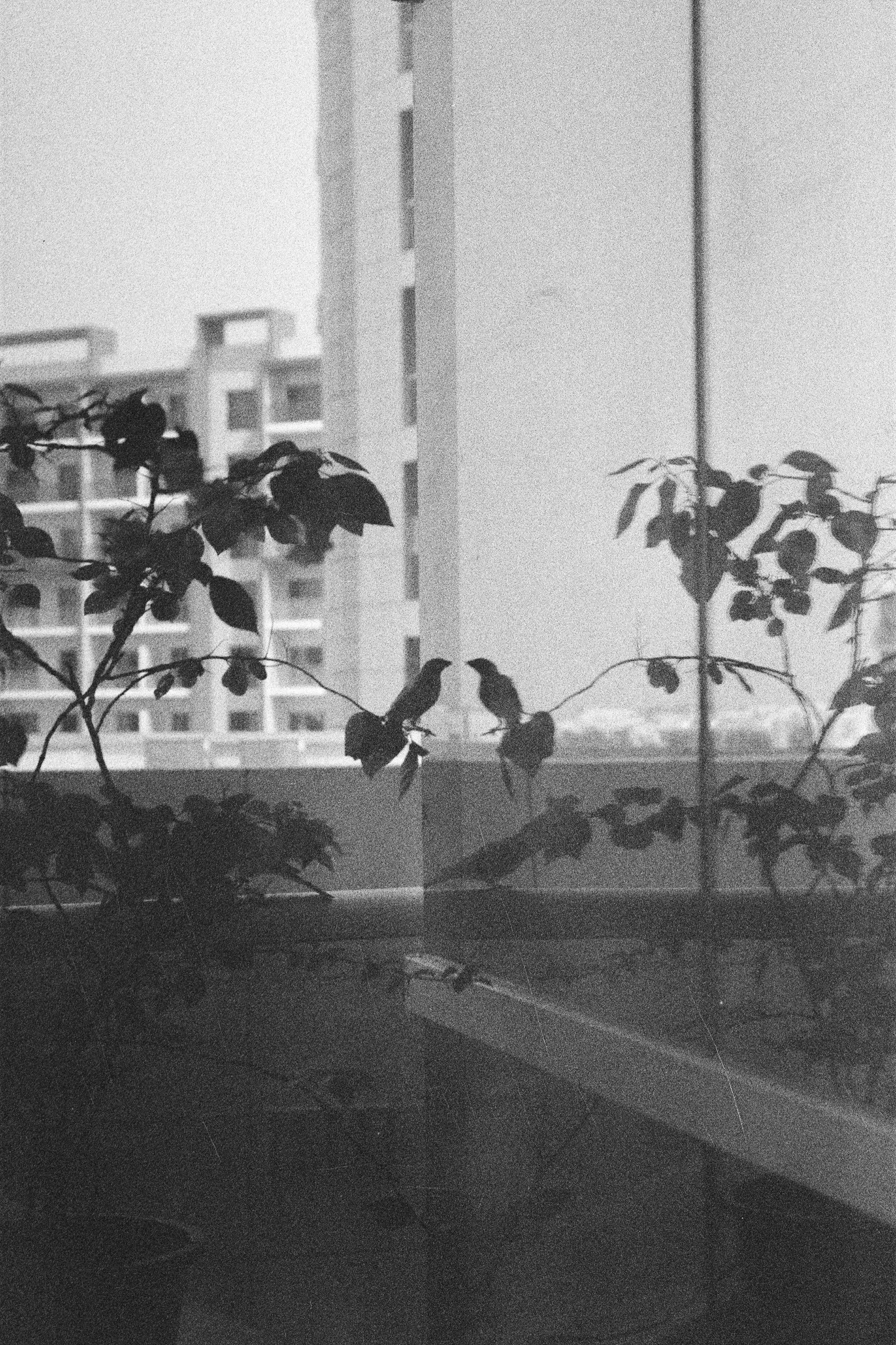 2025-12274_0050.jpg
