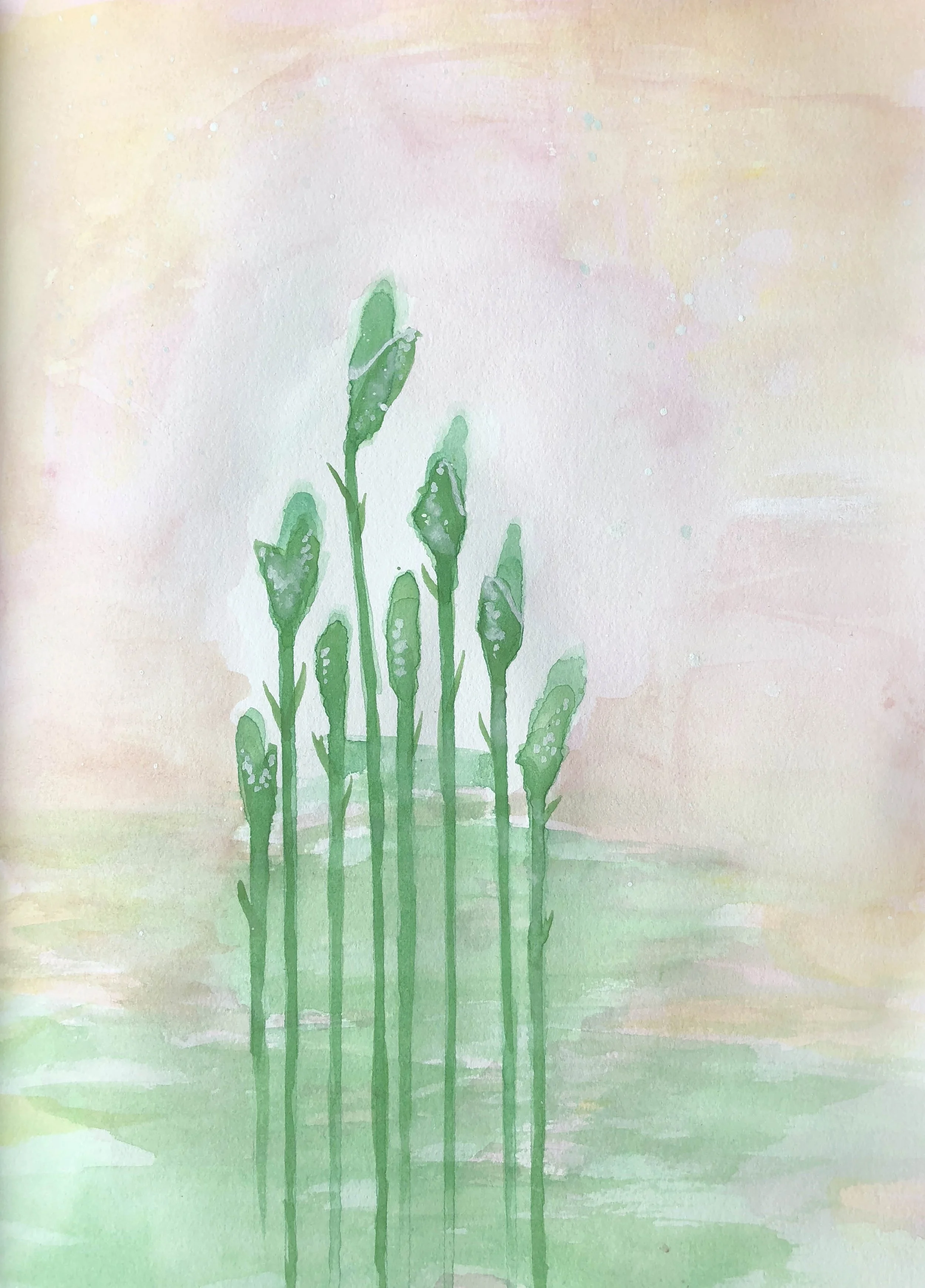 Abstract No 6