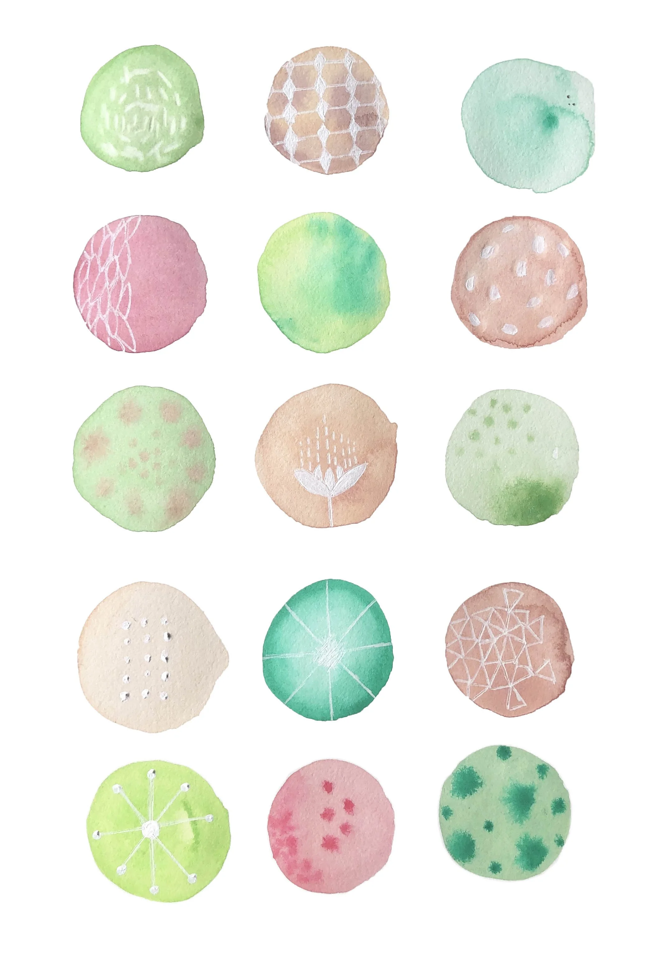 Sand Dollar No 2