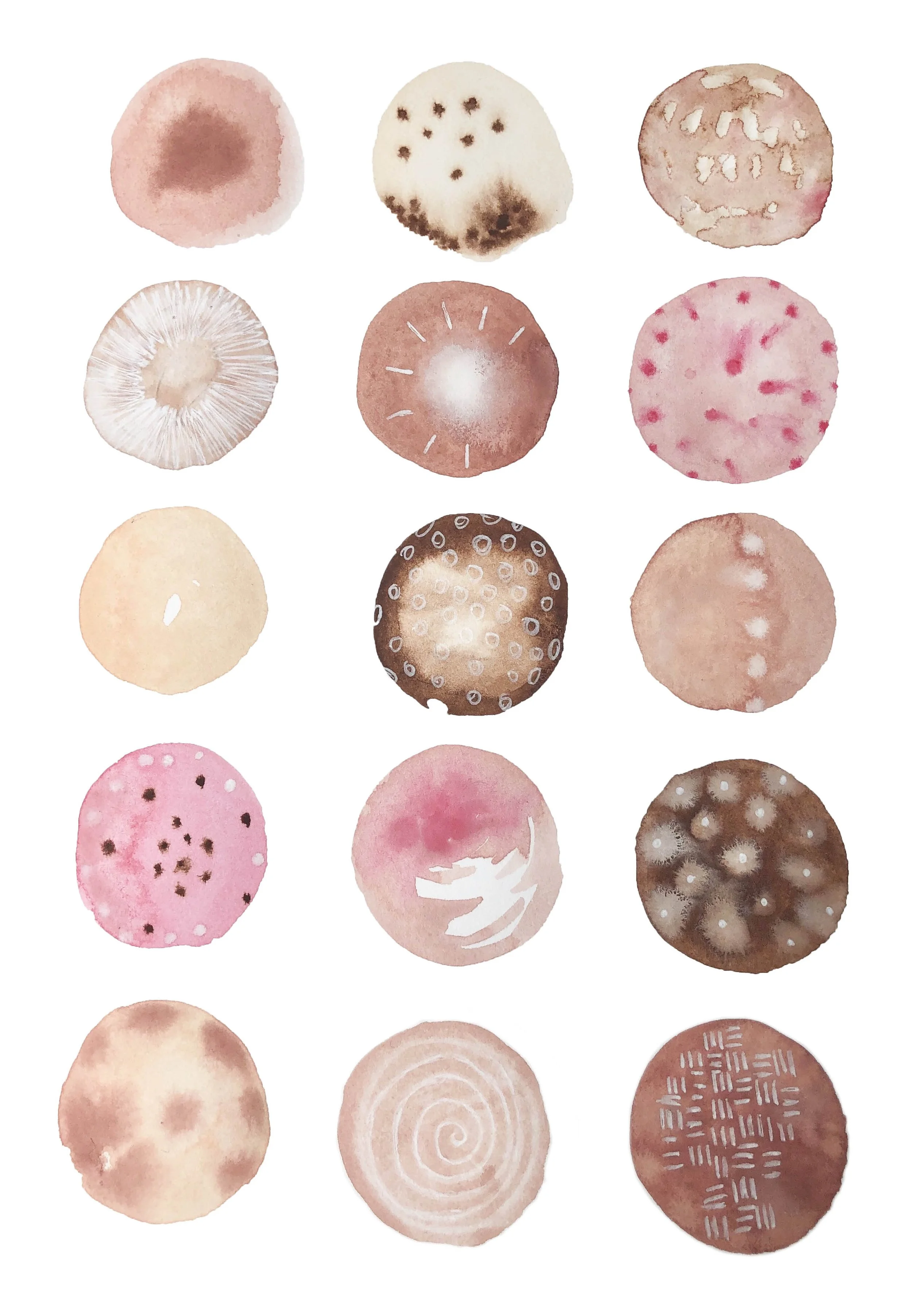 Sand Dollar No 3