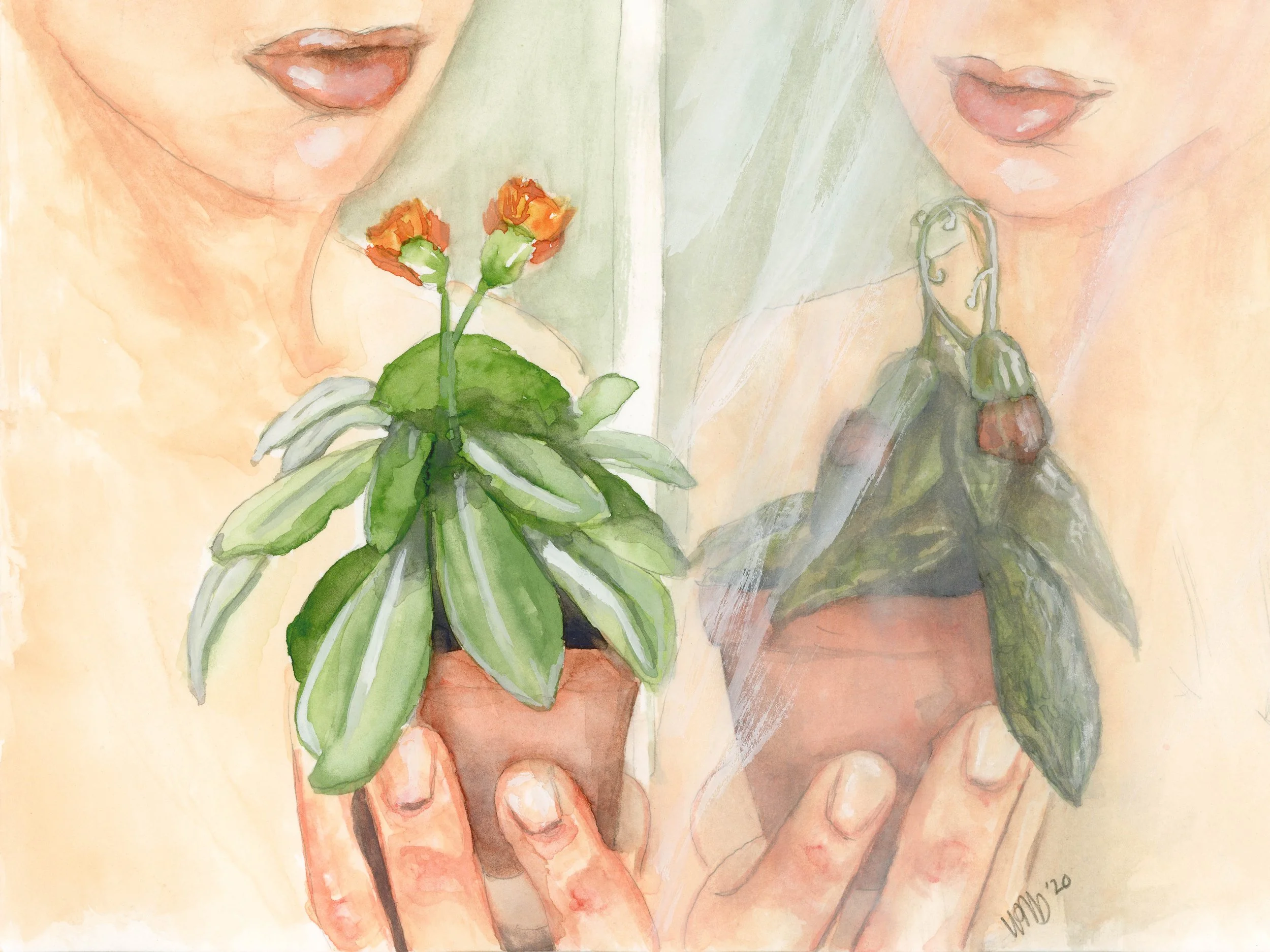 Transparency copy.jpg