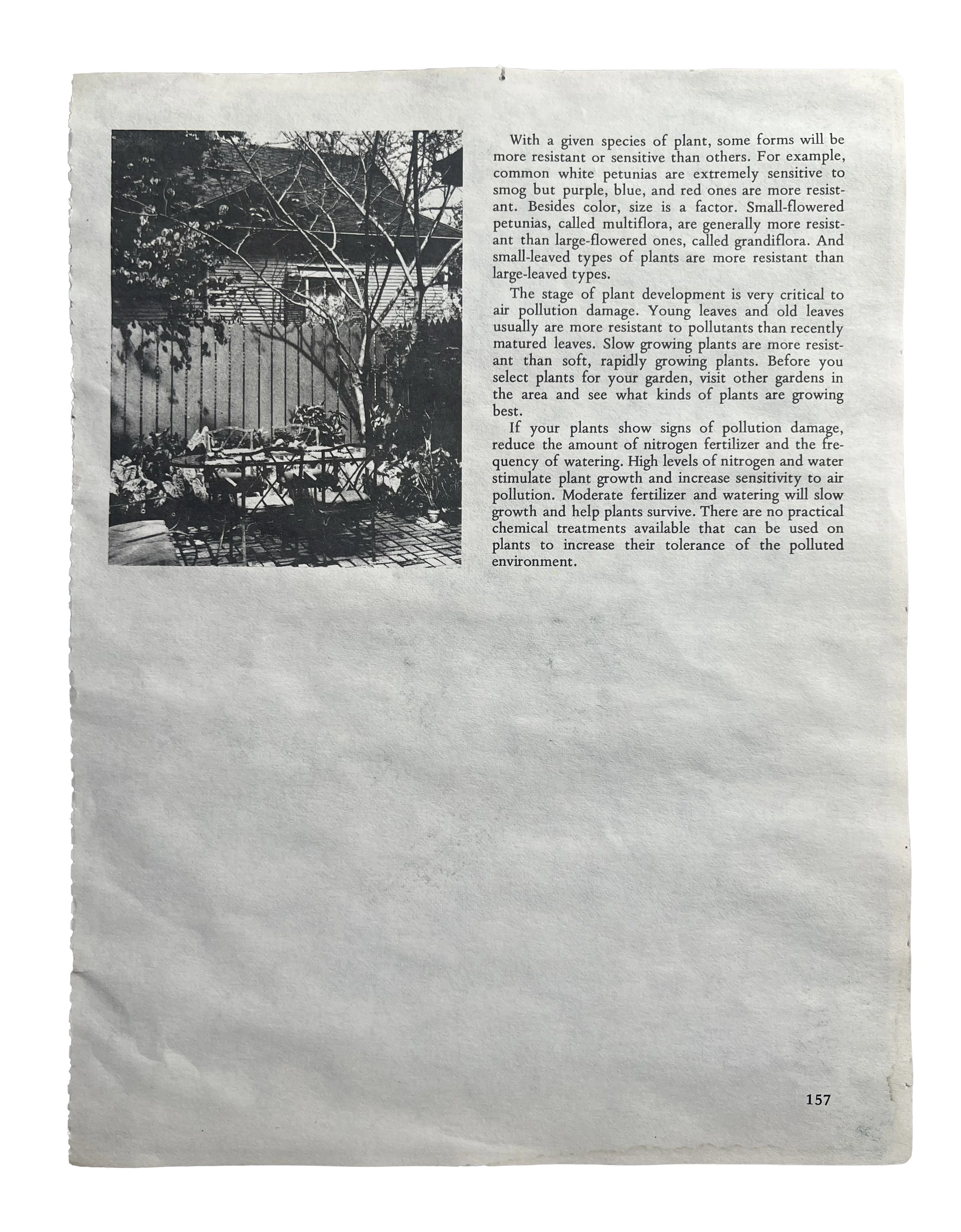 9aIMG_3969 copy.jpg