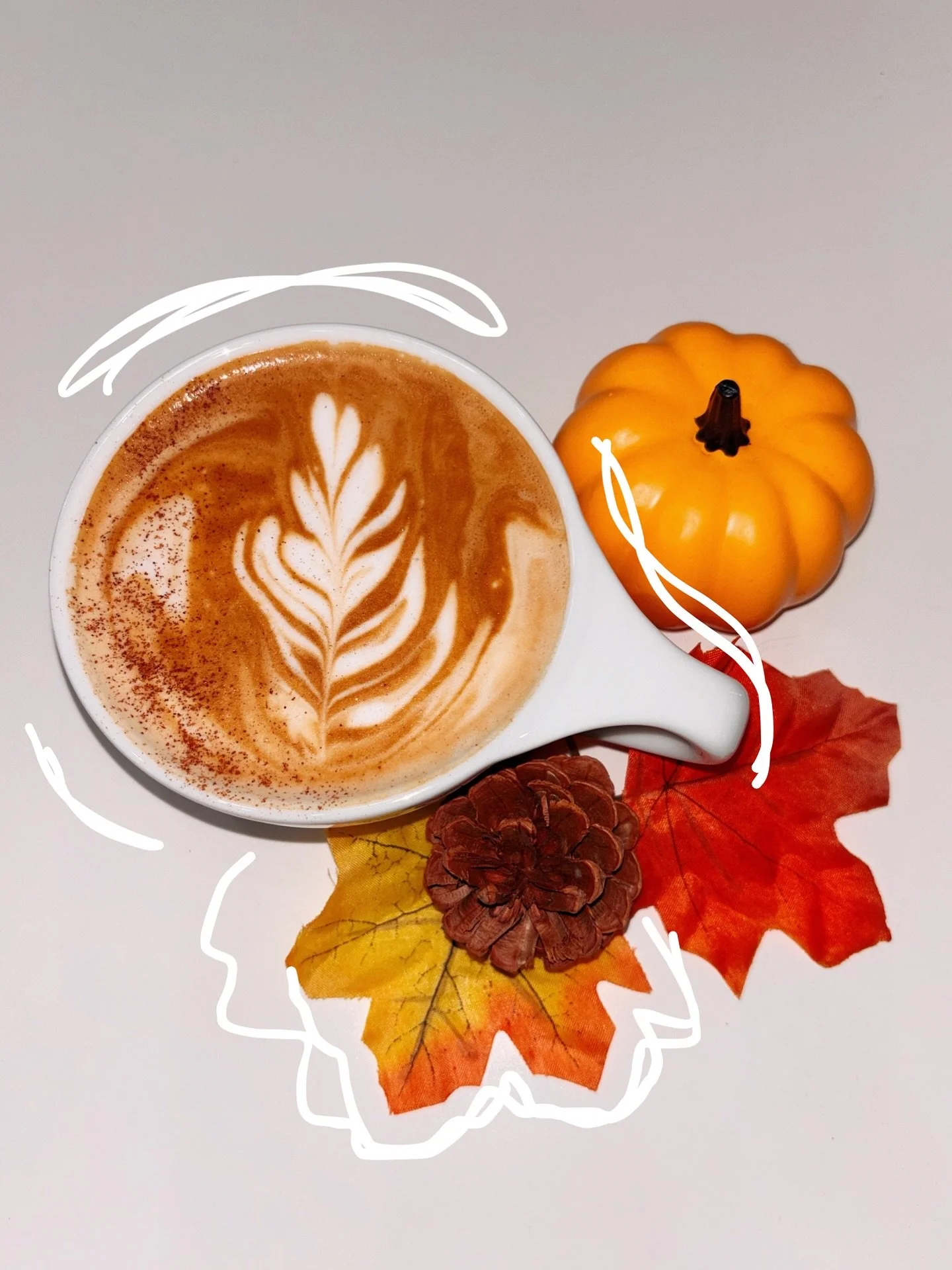 Our steam wands are back in business! And thank goodness, because today is the perfect day for a cozy cup of hot coffee ☕️ 🍁