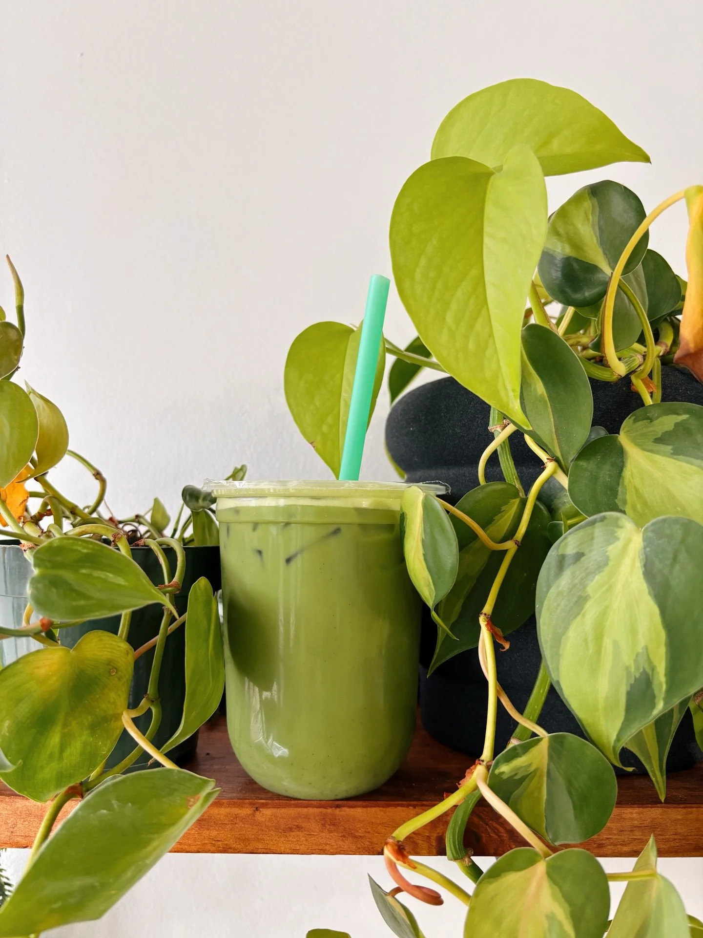 A new month means new flavors&hellip; introducing our mint basil matcha! We use fresh mint and basil leaves paired with a hint of vanilla bean to create a sweet, herbal, refreshing matcha drink that will have you thinking spring. Try it out and let u