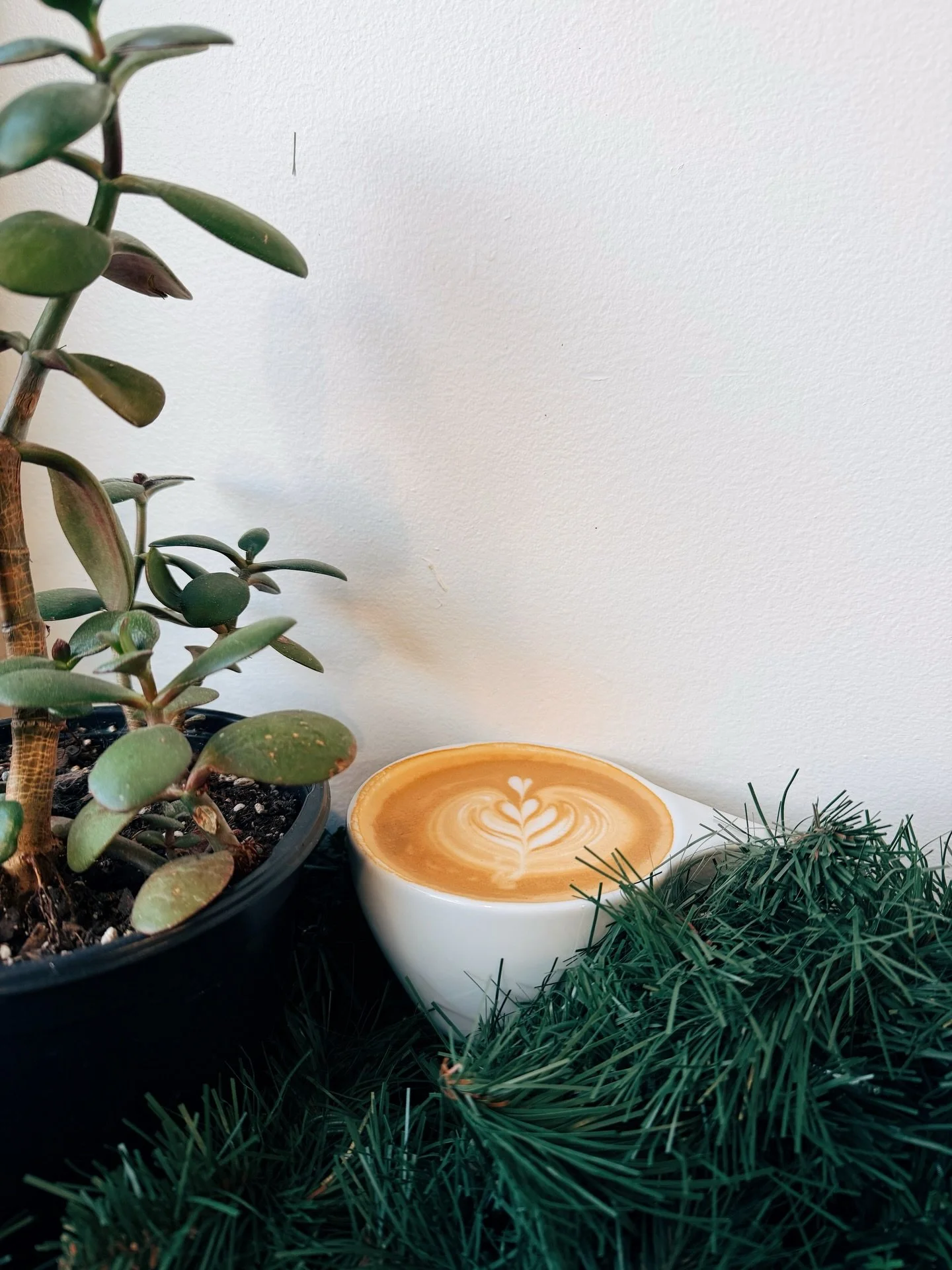 Happy Friday! Help us break in our new espresso machine today with a $3 cappuccino - no extra charge for adding flavor or alt milk. Today from noon to 2 only. See you soon!